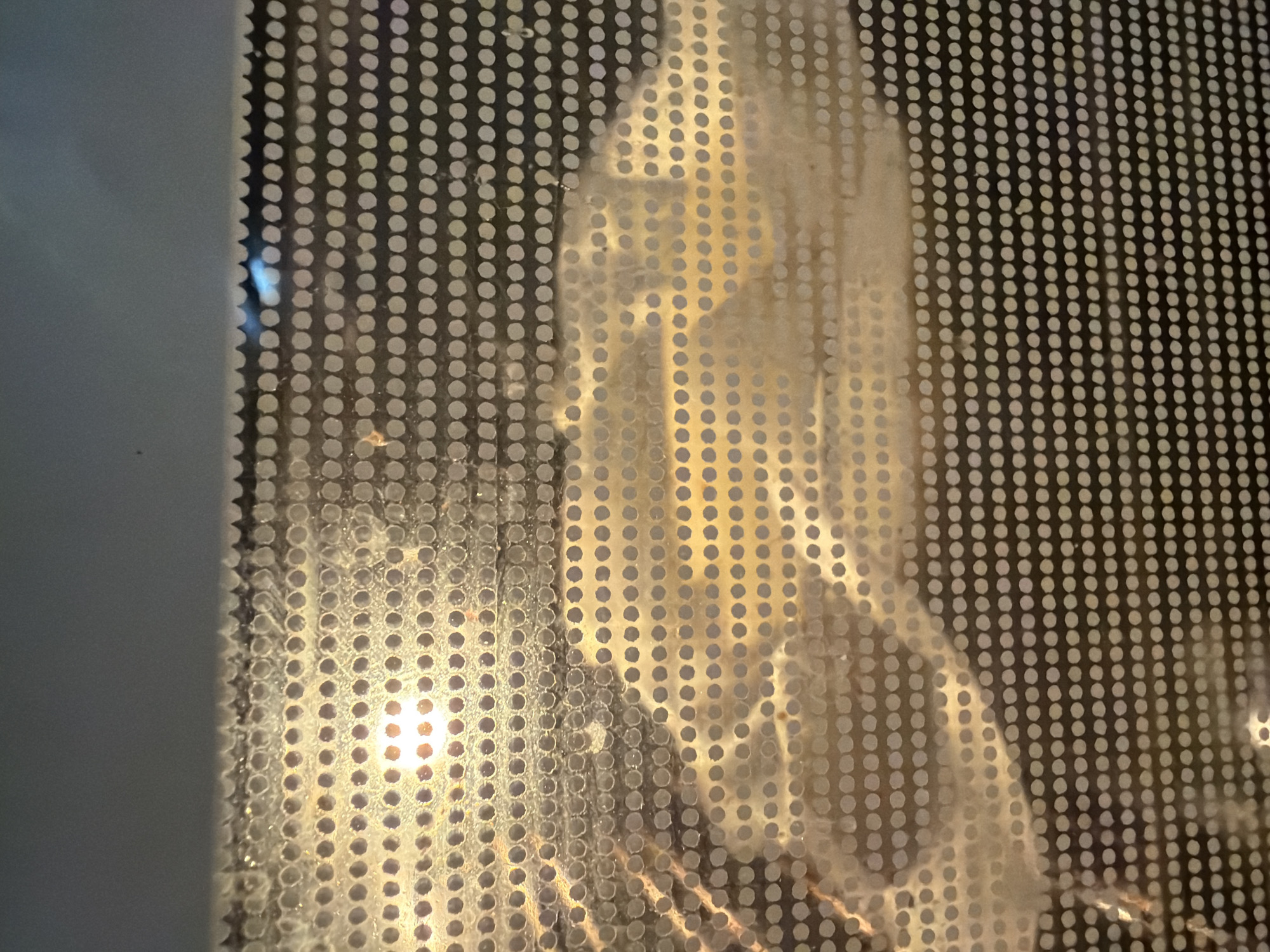 The image shows a blurred view of something inside a microwave oven, seen through the perforated metal screen on the door. There is light inside the microwave. The image does not contain information about the location in Budva, Montenegro.