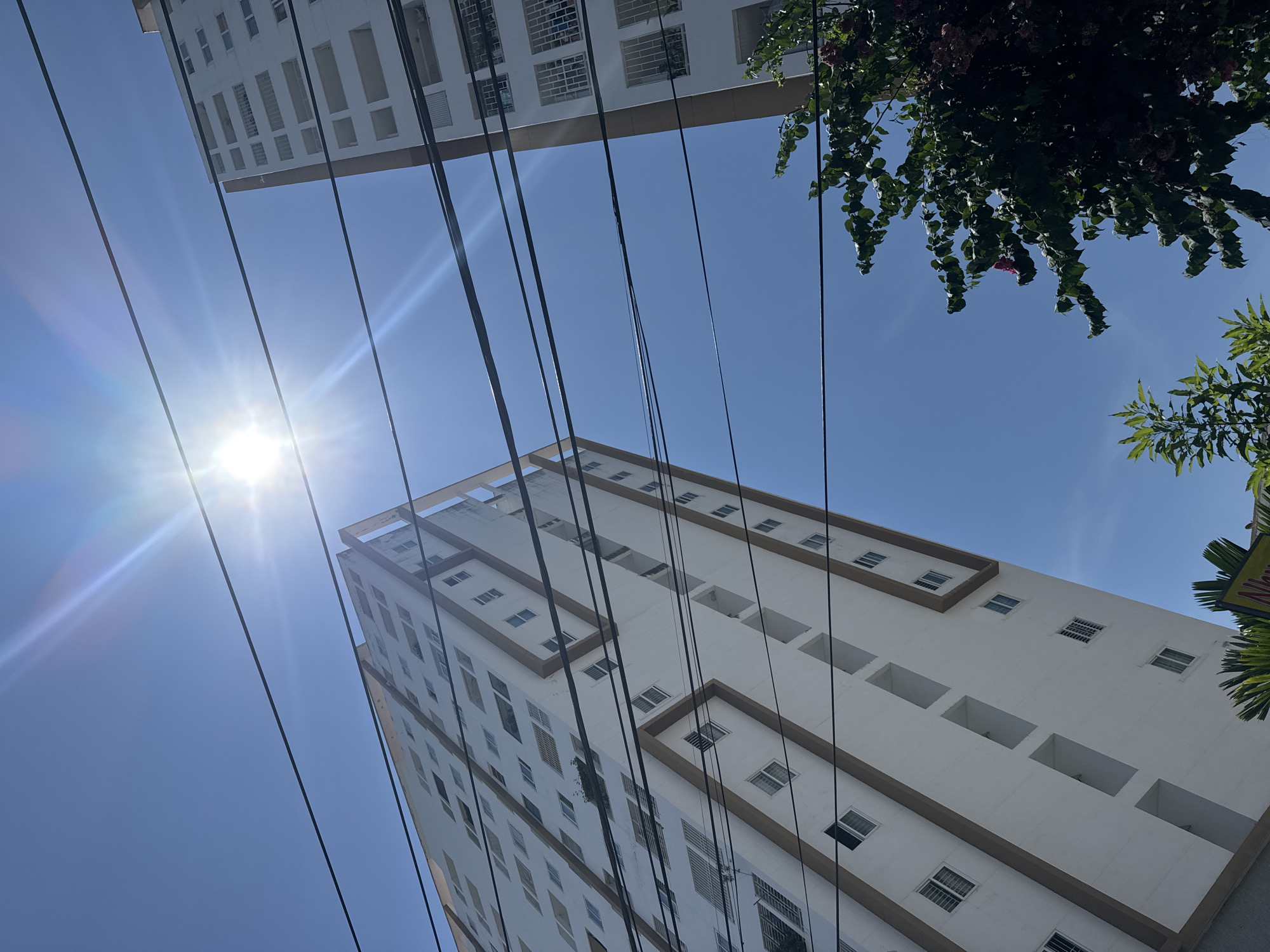A low-angle, wide shot captures two apartment buildings against a bright, clear blue sky, under a strong sun that creates a lens flare effect. Power lines crisscross the upper portion of the frame, obscuring parts of the sky and buildings. The building on the left is taller and closer, featuring a white facade with repeated brown rectangular or square decorative elements. It has numerous windows, some of which are open or feature railings. The building on the right, further away, is also white with white horizontal banding and visible windows, many with exterior grating. The lower right corner of the image shows dense green foliage from trees, with some pinkish flowers visible. In the very bottom of the frame, the edge of a yellow sign with Vietnamese text is visible. The scene appears to be in a city, given the presence of apartment buildings and power lines.