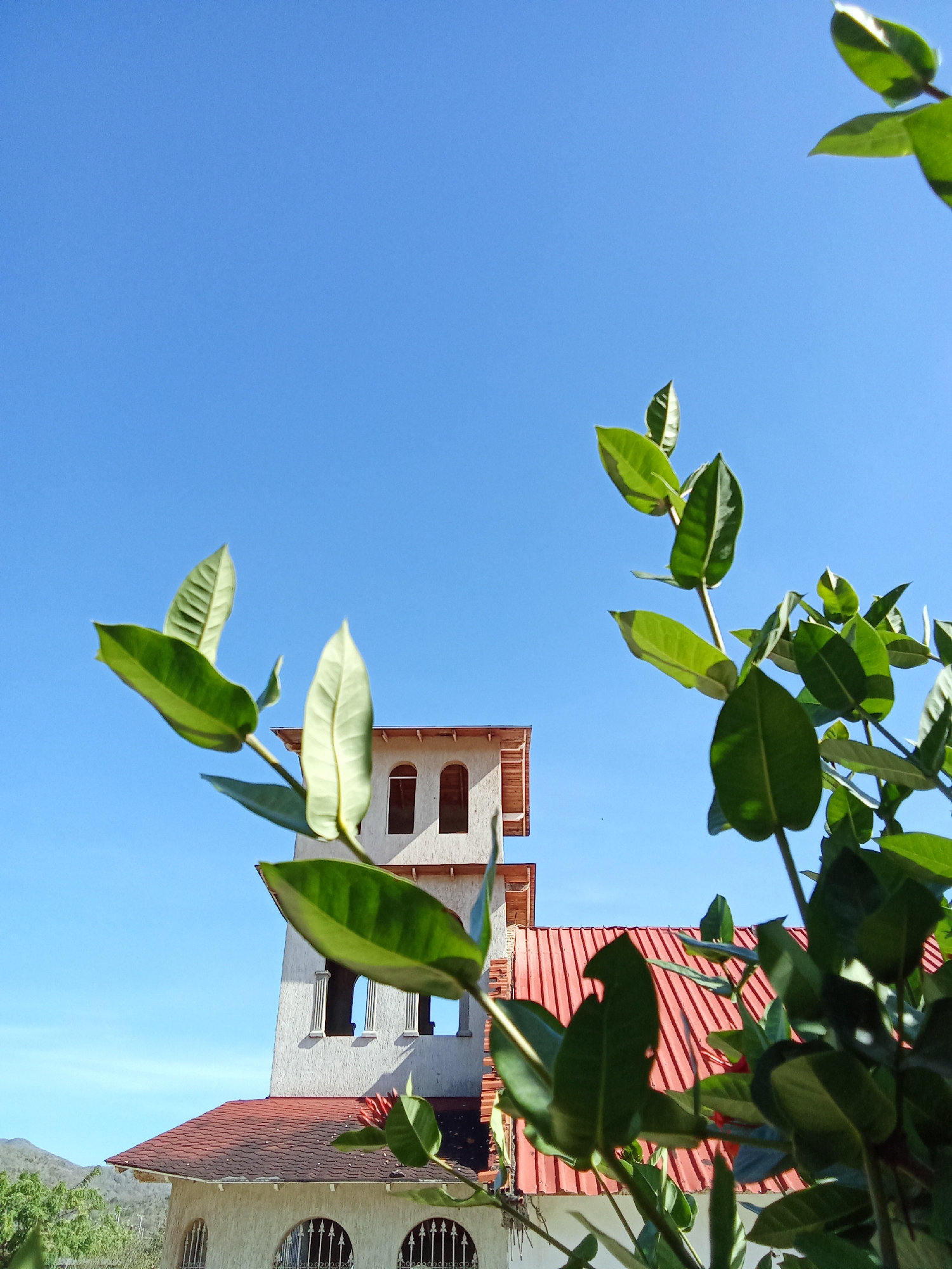 A low-angle shot captures a white, multi-story building with a red tile roof in Juan Griego, Venezuela. The building is partially obscured by a leafy green plant in the foreground. The architecture features arched windows on the lower level and rectangular openings on the upper levels. A clear, cloudless blue sky fills the background. The surrounding environment shows a glimpse of a distant mountain range. The building is bathed in sunlight.