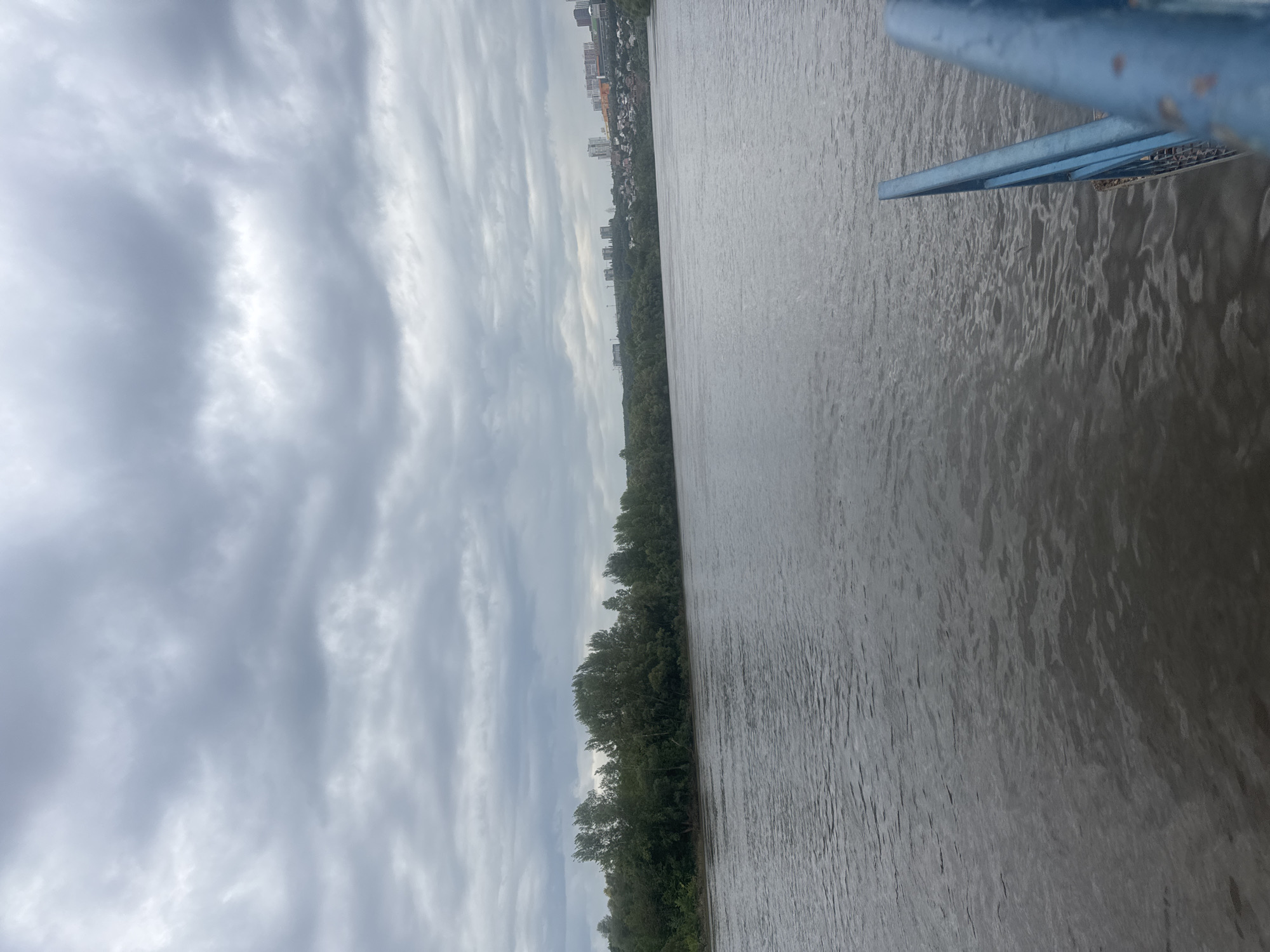 The image depicts a wide, calm river under a cloudy sky. The river occupies the majority of the frame, with its surface rippling gently. On the far bank of the river, a dense line of trees forms a natural barrier. Beyond the trees, on a slightly elevated terrain, a cityscape is visible, characterized by a cluster of buildings, including high-rise apartments and smaller houses. The sky is overcast with a thick layer of grey clouds, suggesting either an impending rain or an already dull day. In the foreground, a portion of a blue metal railing is visible, suggesting the photo was taken from a pier, bridge, or the edge of a boat. The overall impression is one of a serene, if somewhat overcast, natural and urban landscape. This scene is consistent with locations along the Belaya River in Ufa, Russia, particularly areas with urban development on the riverbanks.