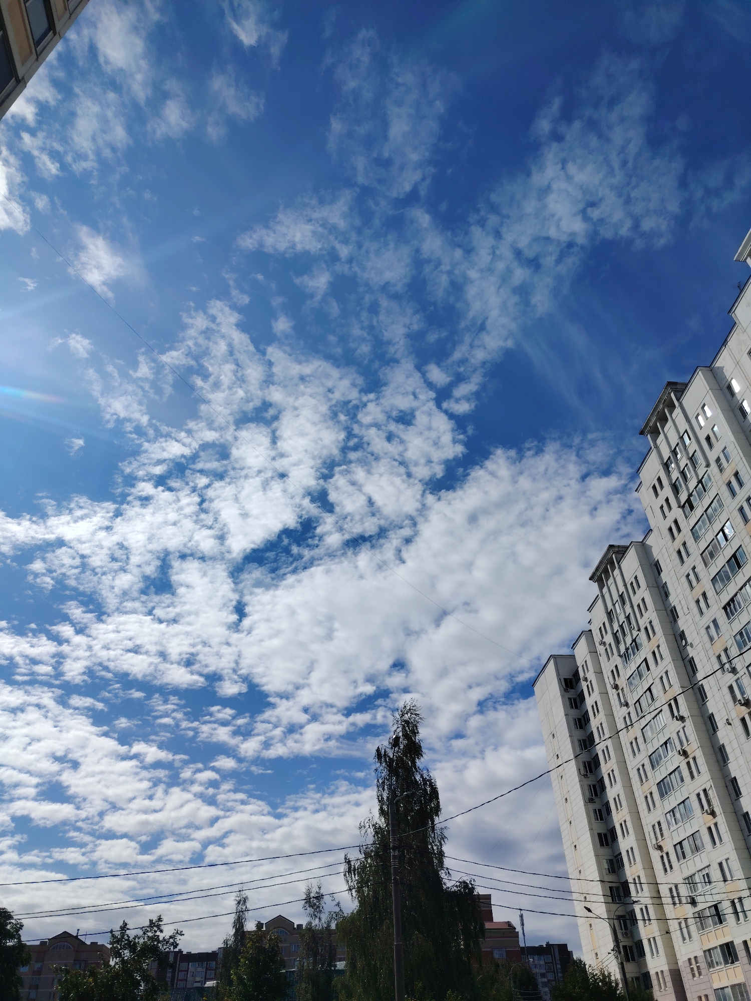 This is a low-angle shot of a bright blue sky filled with scattered white clouds, some of which are wispy and streaky, suggesting wind. In the foreground, on the right side of the image, are the sides of several tall, modern apartment buildings, characterized by their light-colored facades and numerous windows. On the left side, a portion of another building is visible at the very top edge. In the middle ground, a tall, slender tree with dark foliage stands out against the sky. Below the tree and buildings, some lower-rise buildings and more trees are visible, indicating a residential urban environment. Power lines are strung across the sky, adding a utilitarian element to the scene. The overall impression is a view of a typical day in a residential district of Zelenograd, Russia, likely taken from ground level, looking upwards.