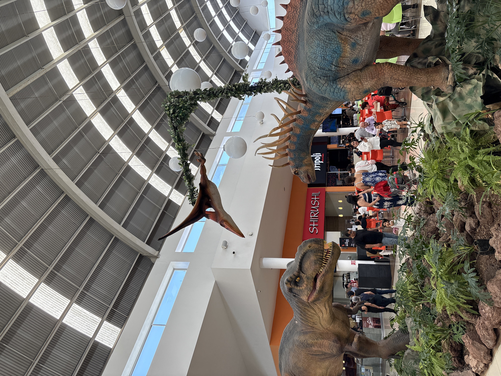 The image shows an indoor scene, possibly a shopping mall, in San Francisco Ocotlán (Ocotlán), Mexico. The ceiling is high and composed of a grid-like pattern with interspersed skylights. Several decorative white spheres hang from the ceiling.
There are three dinosaur models: a Tyrannosaurus Rex, a Pterodactyl, and another large dinosaur with a spiked neck frill. The T-Rex is positioned near the bottom of the frame, while the Pterodactyl hangs suspended near the top. The large dinosaur with a spiked neck frill is situated in the upper right of the image.
In the background, there are people seated at tables, suggesting a dining area. There is signage for "SHIRUSHI," which could be a restaurant or store. The scene gives the impression of a dinosaur-themed exhibit or decorative installation within a commercial space.