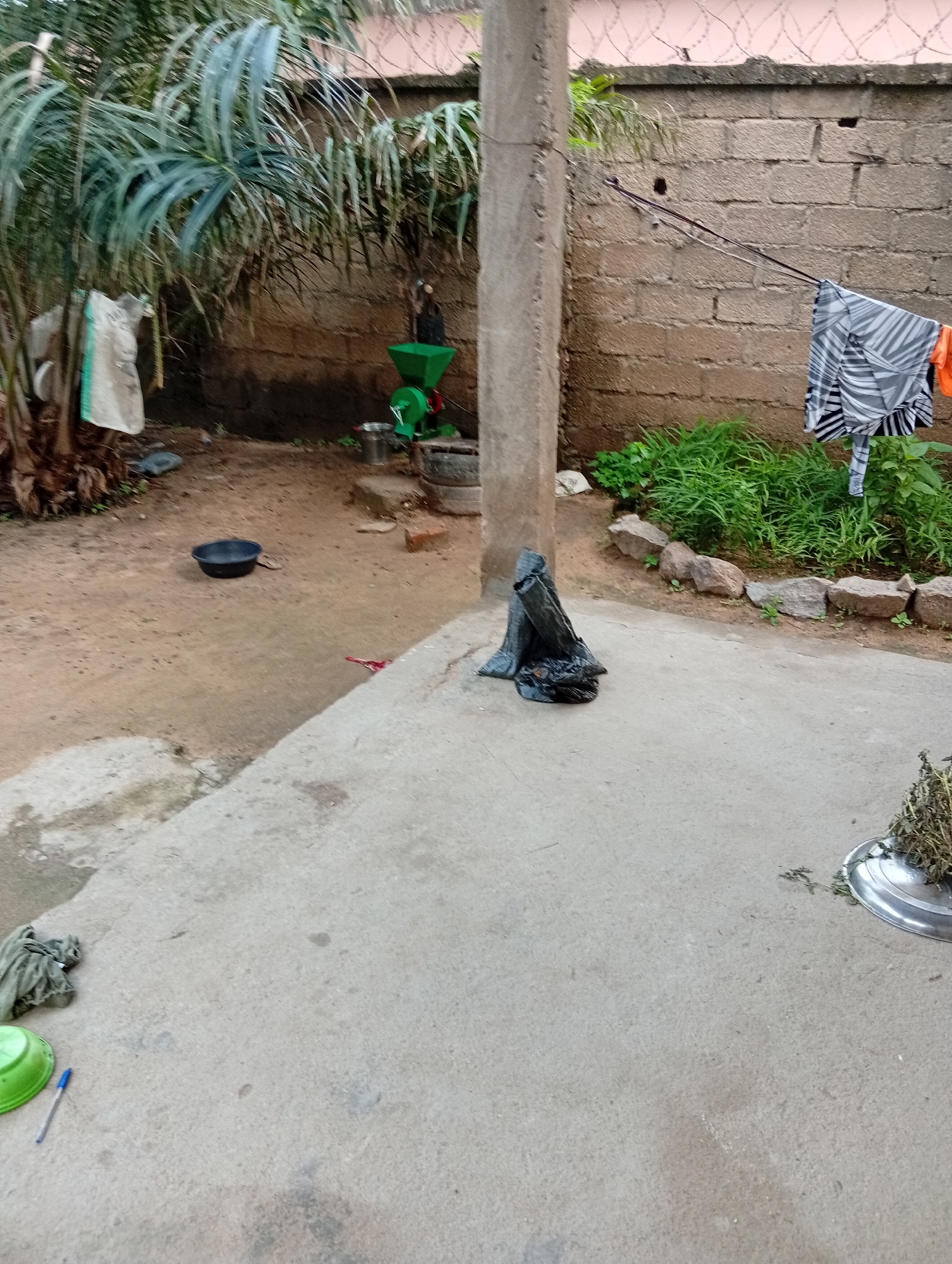The image depicts an outdoor scene in Jalingo, Nigeria. In the foreground, a concrete surface is visible, with a green bowl and a blue pen to the left. A pile of black plastic bags is situated on the concrete, near the base of a concrete pillar. Further back, a dirt ground area is present, with a black basin positioned on it. To the left, a large plant with broad leaves is partially visible, with a white and green sack hanging from it. In the background, a rough brick wall extends across the scene, topped with barbed wire. A clothesline stretches from the wall to a point beyond the frame, with a black and white patterned garment and an orange item of clothing hanging from it. Adjacent to the wall, a patch of lush green plants grows. A green grinding machine with a metal bucket underneath is also visible, situated on a raised platform. The environment appears to be a utilitarian outdoor space, possibly a backyard or a work area.