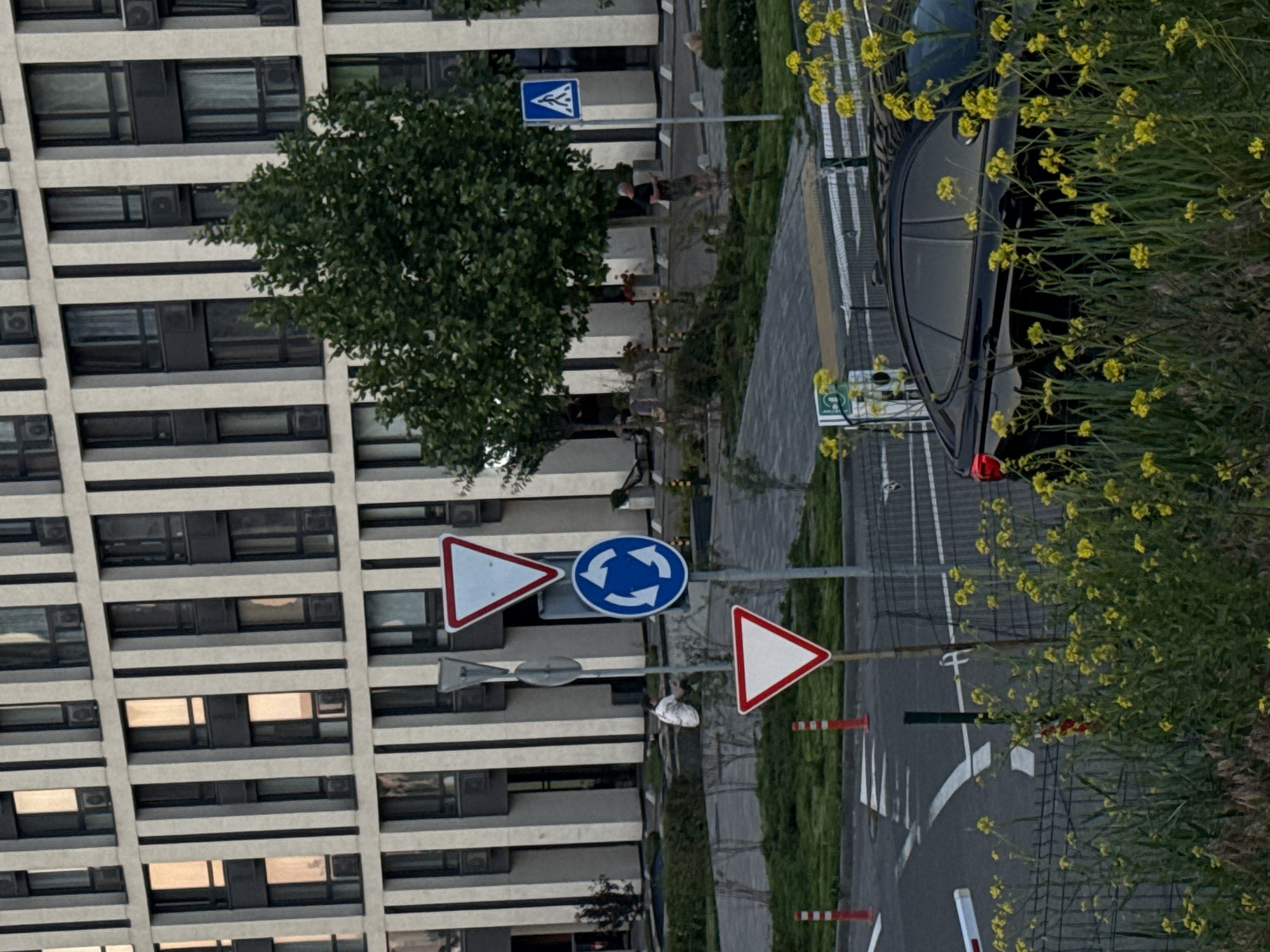 This image captures an urban street scene in Kyiv, Ukraine, featuring a multi-story building, a road, a parked car, and various road signs, all set against a backdrop of greenery.
On the left, a tall, modern building dominates, characterized by its grid-like concrete facade and numerous dark-framed windows. Many windows have visible external air conditioning units.
In the midground, a street is visible with clear white road markings, including a pedestrian crossing (zebra stripes) and turn arrows. A dark-colored sedan is parked on the right side of the road, partially obscured by a dense cluster of tall plants with vibrant yellow flowers.
Several traffic signs are prominent: a blue square sign with a white pedestrian crossing symbol, two red-bordered triangular 'yield' signs, and a blue circular 'roundabout' sign with white arrows. Other smaller signs on poles are also present. Red and white striped bollards or cones are seen near the roadside.
A person wearing a dark top and a light-colored cap is visible standing or walking near the pedestrian crossing sign.
The lighting is diffuse, suggesting an overcast day or perhaps late afternoon/early morning, as there are no harsh shadows. The reflections on the building windows indicate daylight. No legible text is discernible on any signs or objects within the image. The scene portrays a typical, functional urban environment.
