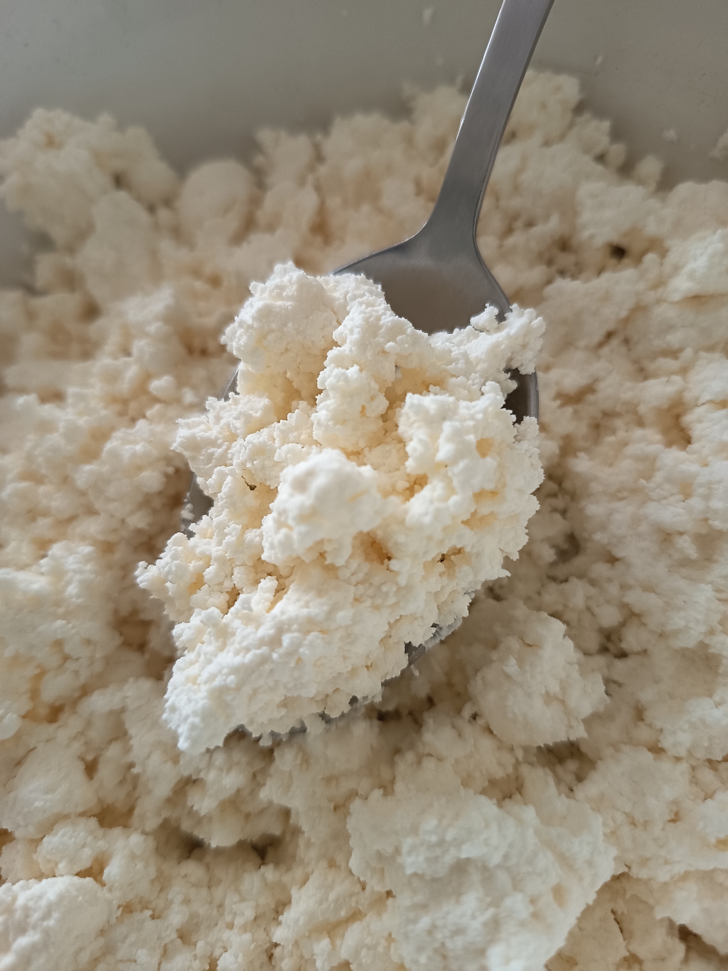 A close-up, overhead shot captures a spoon scooping a generous portion of a white, crumbly substance, likely cottage cheese or a similar dairy product. The spoon, made of polished metal, is partially submerged in the mass, with its curved edge holding a mound of the textured food. The background is filled with more of the same white, lumpy material, suggesting a large quantity or a container of it. The lighting is bright and diffused, casting soft shadows and highlighting the grainy texture of the food. There are no people visible in the frame, and no text is present. The image focuses solely on the food and the spoon, creating a tactile impression of the food's texture. The setting appears to be a kitchen or a food preparation area, given the subject matter. The time of day and weather are not discernible from the image.