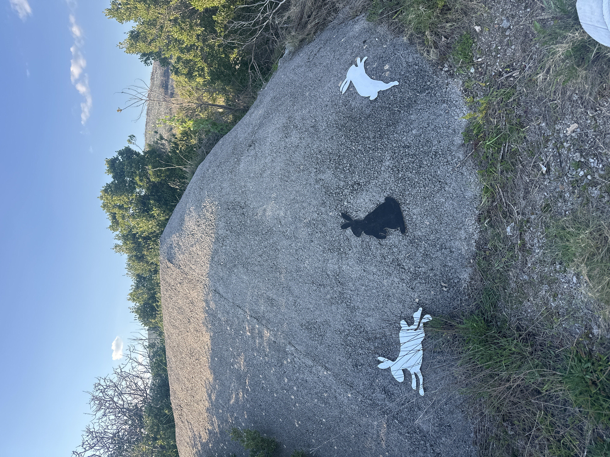 The image shows a large rock surface in a natural environment. Three rabbit-shaped objects are positioned on the rock: two are white, and one is black. The rock is surrounded by vegetation, including trees and grass. The sky is visible in the background, indicating it is daytime. The location of Glavaticici, Montenegro, is mentioned as the city where this image was taken. There are no people visible in the image.