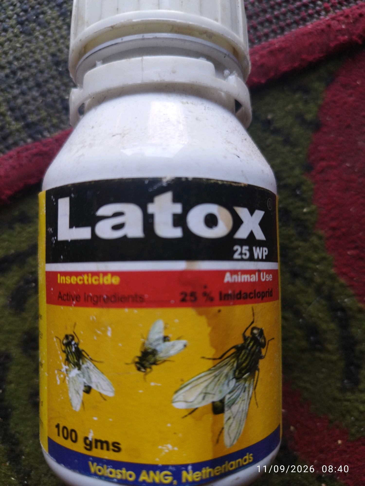 A close-up, slightly out-of-focus, eye-level shot shows a white plastic bottle of insecticide with a yellow label. The label has the brand name "Latex" in large white letters on a black background. Below this, in red text, it says "Insecticide" and "Animal Use." Further down, in smaller print, it reads "Active Ingredients" followed by "25 % Imidacloprid." The bottom portion of the label is yellow and features illustrations of flies. The bottle is resting on a patterned surface that appears to be a rug or tapestry with red and green colors. The background is largely out of focus. A timestamp in the bottom right corner of the image reads "11/09/2026 08:40". There are no people visible in the image. This object is located in the city of Mojokerto, Indonesia.