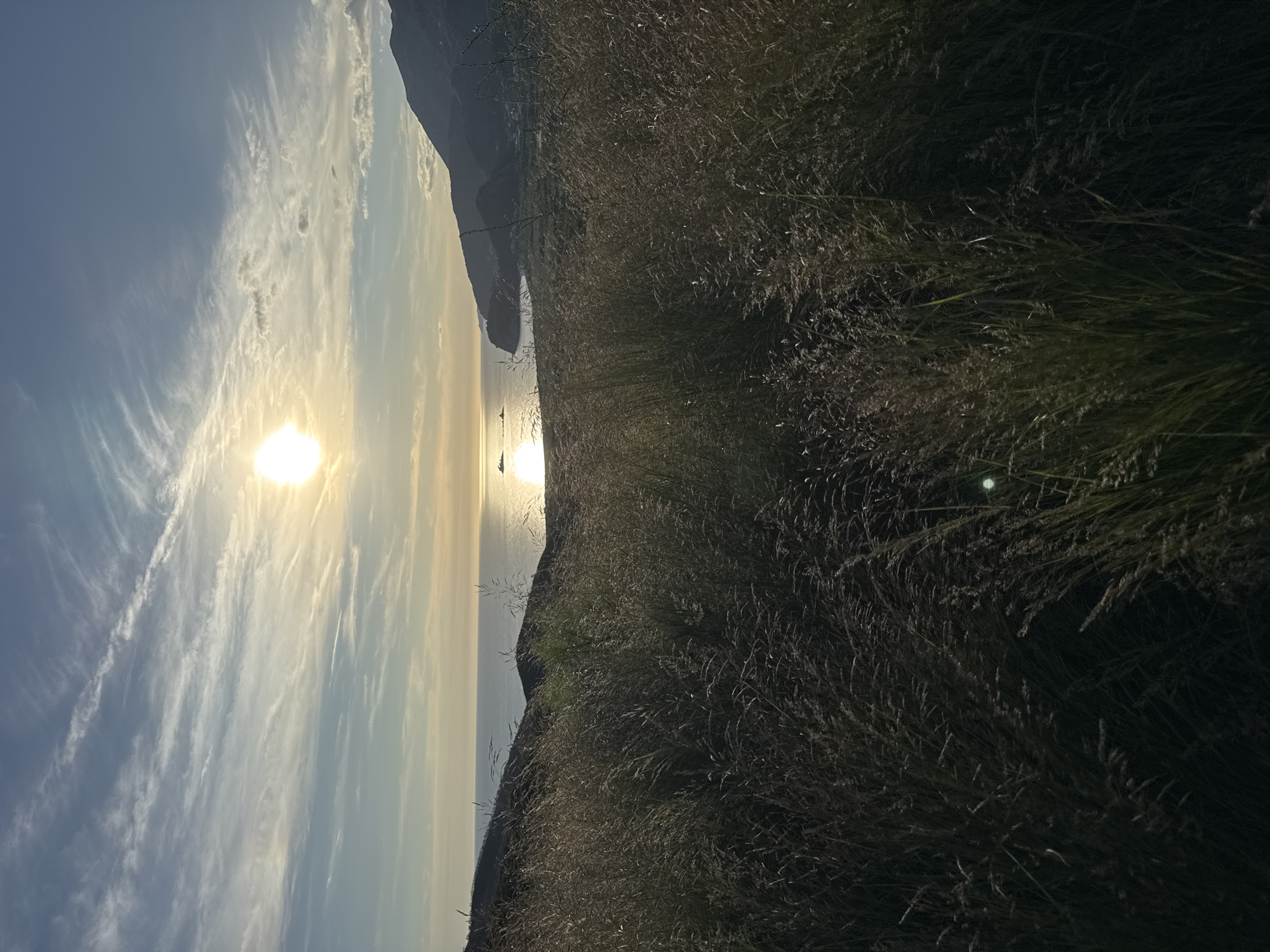 A panoramic landscape captures a serene coastal scene at either sunrise or sunset in Kanjoši, Montenegro. The image is composed of an expansive sky, a body of water with distant land, and a foreground of tall grass.
The sun, a brilliant golden orb, dominates the upper left portion of the image, casting a luminous path across the calm surface of the sea. The sky is a gradient of soft blues, transitioning to warmer yellow and orange tones around the sun, filled with wispy, elongated cirrus clouds that catch and reflect the golden light.
The horizon line separates the sky from the sea and distant landmass. Dark, silhouetted mountains or hills rise along the far side of the water, creating a dramatic and hazy backdrop. On the reflective surface of the sea, within the sun's bright path, two small, dark, indistinct shapes—possibly boats or buoys—are visible.
The immediate foreground is densely covered with tall grasses, which appear dry and are predominantly in shadow, though some blades and seed heads catch the warm, golden light from the low-hanging sun. These grasses fill the lower and right portions of the frame, suggesting the vantage point is from a hillside or clifftop overlooking the water.
The overall atmosphere is peaceful and majestic, characteristic of the quiet beauty of a coastal morning or evening. No human activity or visible text is present.