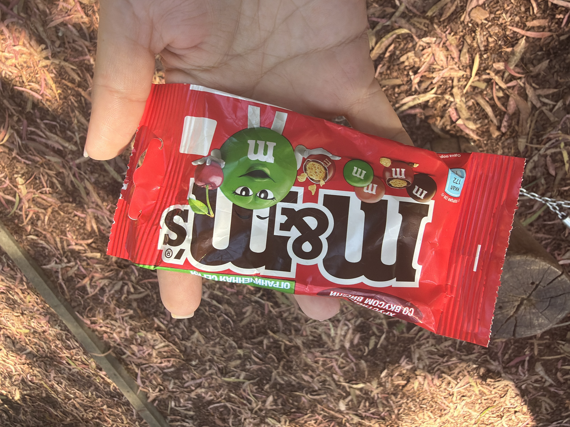 A person's hand is holding a red package of M&M's candies. The package has green and brown M&M characters and text in Russian. The background is out of focus, showing a mixture of dry leaves and twigs on the ground, with a wooden post visible at the bottom left. The lighting suggests it is daytime. The image does not contain any specific landmarks or clues to indicate a location in the city of Sochi, Russia.