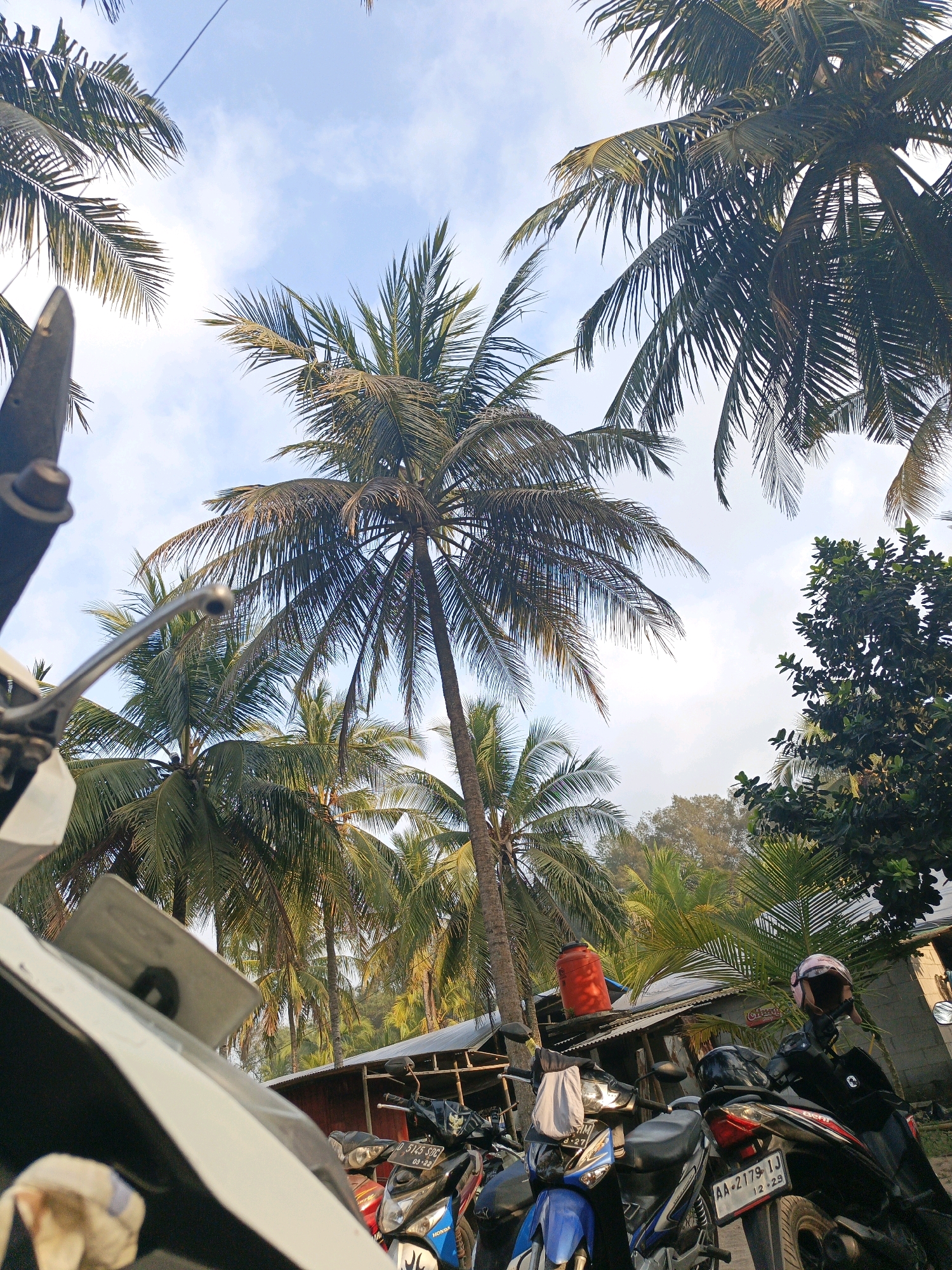 The image depicts a tropical outdoor scene, likely in Tambakmulyo, Indonesia, characterized by a cluster of motorcycles parked in front of a building. Towering palm trees dominate the upper portion of the frame, their fronds reaching towards a bright, partially clouded sky. In the foreground, the front of a white scooter is visible, partially obscuring the view of other parked motorcycles. One motorcycle, with the license plate AA 2179 IJ, is prominently featured with a pink helmet resting on its handlebars. To the right, a dark-colored motorcycle is parked, also with a helmet on its seat. Behind the motorcycles, a rustic building with a corrugated metal roof and a red water tank on top is visible. The overall environment suggests a warm, possibly coastal, location.