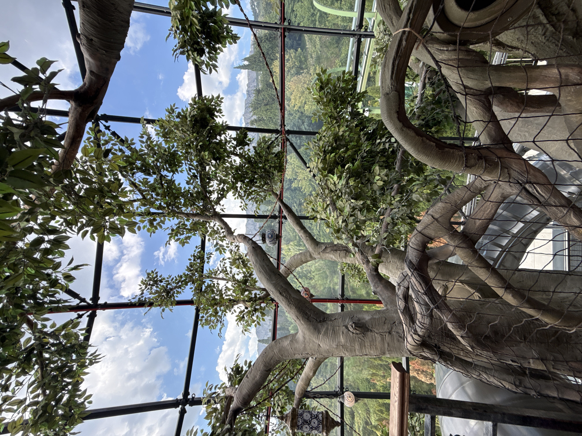 This image depicts an interior view of a large, open aviary or botanical enclosure with a geodesic dome-like glass and metal roof structure. The foreground is dominated by the gnarled, textured trunks and branches of what appear to be artificial trees, some of which are covered with a dark netting. Several decorative lanterns, possibly oriental-style, are suspended from the branches by thin wires. In the middle ground and background, real trees and foliage are visible through the glass walls, forming a lush, green landscape. Distant mountains form the backdrop. The sky above is blue with scattered white clouds. The scene suggests an exotic or conservatory environment, potentially part of a larger attraction or botanical garden. The location, Симеизкий поселковый совет, Ukraine, implies a scenic, possibly coastal or mountainous region. There are no people visible in the image.