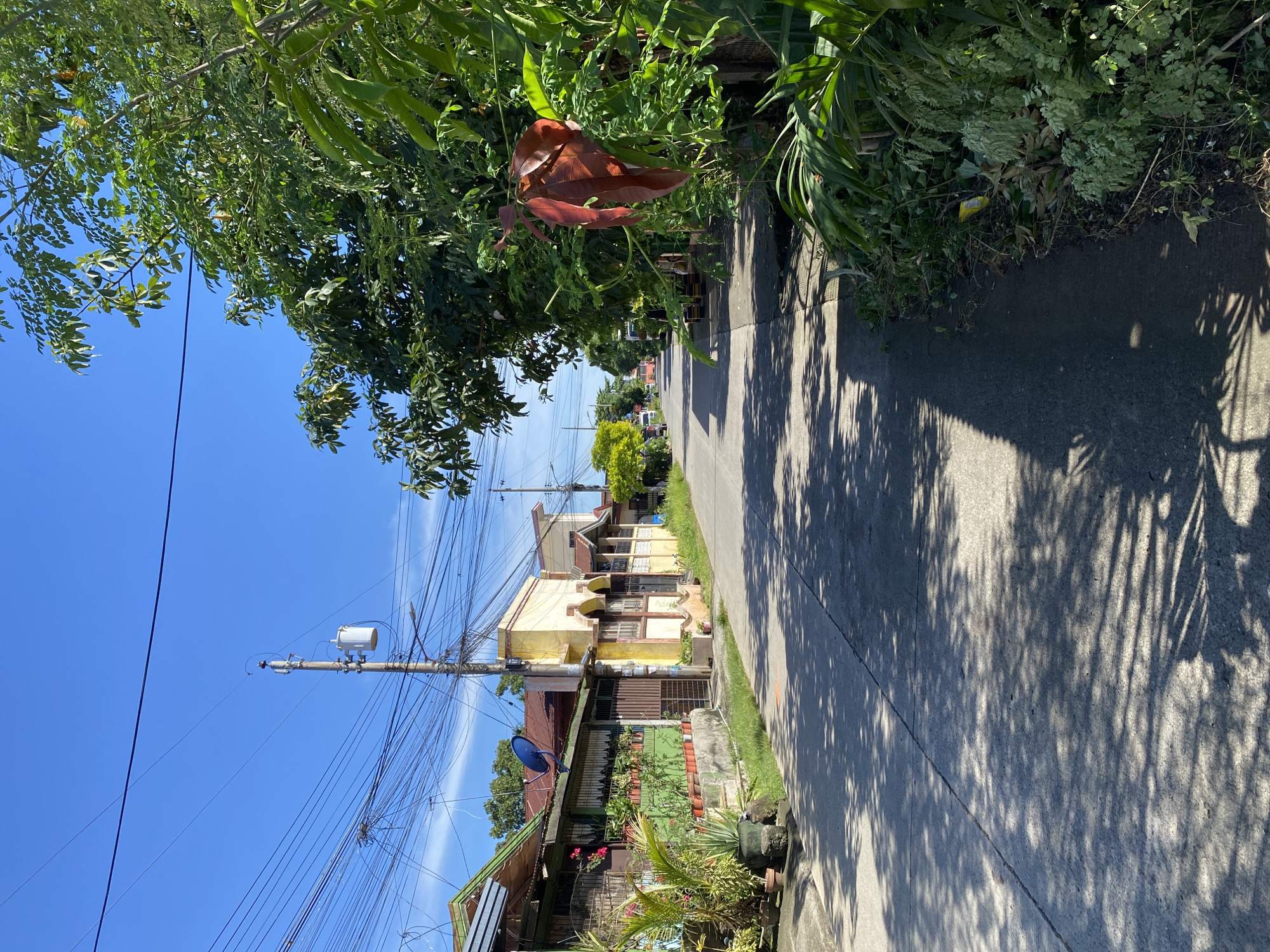 This image depicts a residential street in Davao City, Philippines, under a clear blue sky. The road, made of concrete, is lined with houses and lush vegetation. On the left side of the street, houses with colorful roofs and facades are visible, some adorned with potted plants and a satellite dish. A prominent utility pole with numerous tangled wires and a transformer stands near the foreground. On the right side, dense green foliage and trees overhang the sidewalk and partially obscure the view of more houses. The shadows of trees are cast across the road, indicating a sunny day. The street appears quiet, with no people or vehicles immediately visible in the foreground. The overall impression is one of a typical, sun-drenched neighborhood in a tropical urban setting.