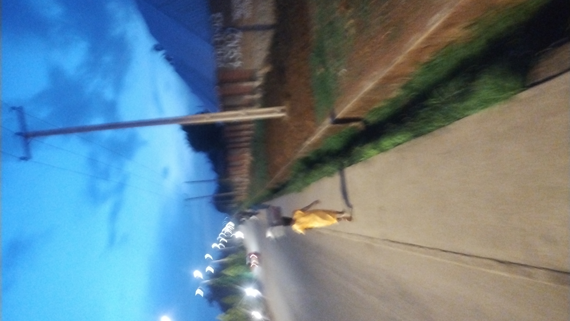 This vertically oriented image captures an outdoor scene at dusk or night, characterized by low light and significant blur. The deep blue sky, possibly with faint cloud patterns, dominates the upper left. A utility pole with horizontal crossbars and wires stands against the sky.
The scene depicts a road or paved path running from the bottom right towards the center left. Adjacent to this road is a lighter-colored sidewalk or pathway, bordered by a strip of green grass, and further right, a reddish-brown bank or wall. Faint, unreadable graffiti-like text is visible on this bank in one of the crops.
A single person is discernible in the mid-ground, standing on the sidewalk or edge of the road. They are wearing a bright yellow garment, resembling a dress or robe, and appear to be facing away from the viewer. Their posture suggests they are either standing still or walking slowly.
Numerous streetlights illuminate the scene from the left side, creating distinct, blurred points and streaks of white light along the road. The overall blur across the image indicates either motion blur from the camera or the subjects, making precise details indistinct. The setting suggests a roadside environment, possibly suburban or semi-rural, during the late evening.
