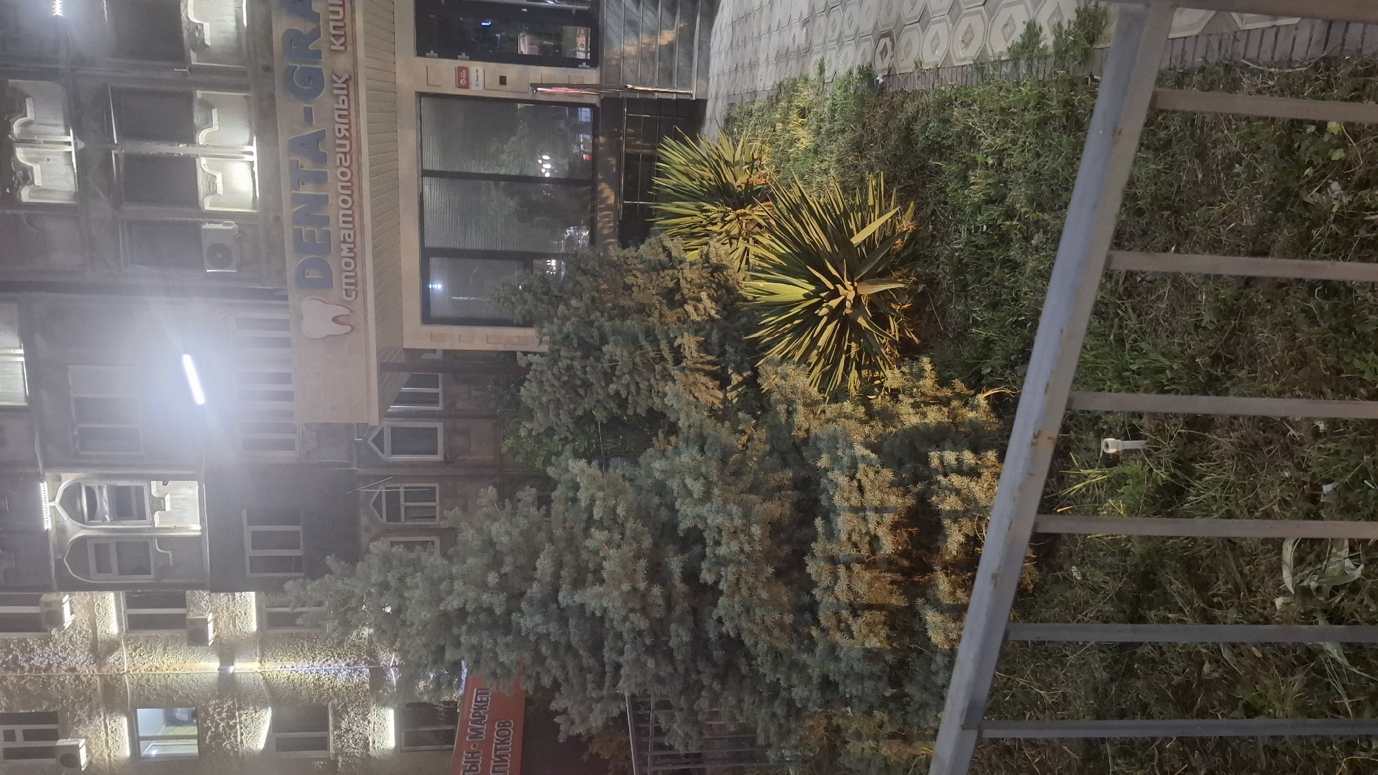 The image shows a night scene outside a building in Shymkent, Kazakhstan. The building appears to be an apartment or commercial building with multiple windows and air conditioning units visible. A prominent sign with the text "DENTA-GRA" and "СТОМАТОЛОГИЯ" in Cyrillic is mounted on the building, indicating a dental clinic. In front of the building, there is a green space with various plants, including a yucca-like plant and several conifer trees. A metal fence runs along the right side of the image, partially obscuring the view of the greenery. The lighting suggests it is nighttime, with artificial lights illuminating the building and casting shadows on the plants. The overall mood is quiet and still, typical of a residential area at night. The weather appears to be clear, as no precipitation or adverse conditions are evident.