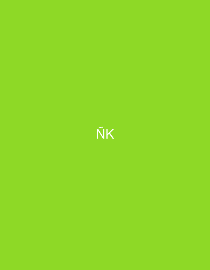 The image displays a two-character uppercase wordmark, 'ÑK,' rendered in white, sans-serif typography, centrally positioned against a solid, vibrant lime green background. There are no additional graphical elements, discernible people, objects, or environmental features. This graphic is presented within the context of Casablanca, Morocco.