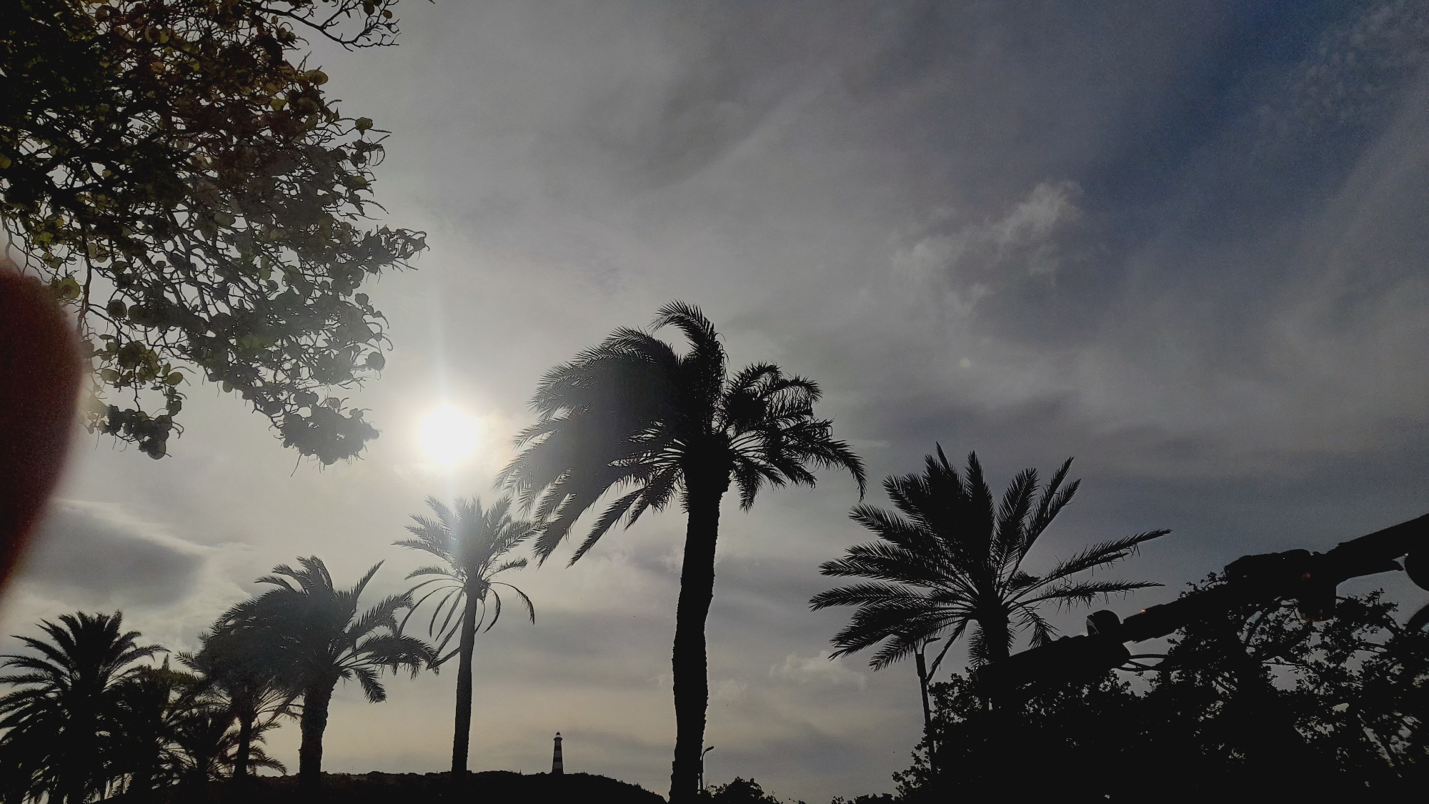 The image depicts a silhouette of palm trees against a cloudy sky with the sun shining brightly through, creating a lens flare effect on the left side. In the foreground, on the left, a blurred reddish object, likely a finger, partially obstructs the view. The scene is set in the city of Pedro González, Venezuela. A thin, tall lighthouse structure is visible in the distance, positioned on a hill behind the palm trees. The overall impression is of a tropical, overcast day.