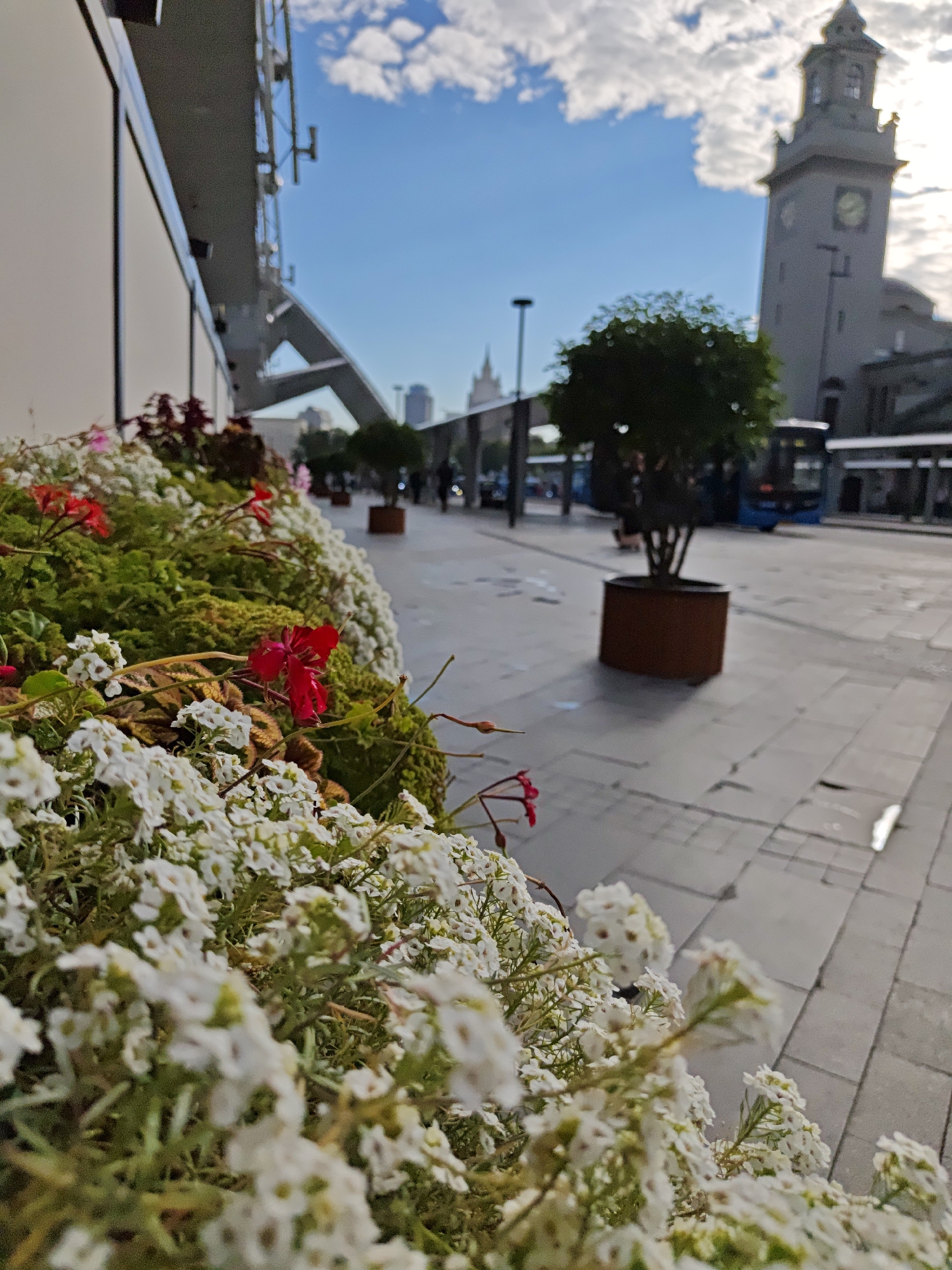 This is a low-angle, full outdoor shot of a city scene with a focus on a planter box filled with white and red flowers in the foreground. The planter box runs along the side of a modern building with a glass facade and a sleek, angular design. Beyond the planter box, a paved walkway is visible, with several potted trees lining it. In the background, a tall, grey clock tower stands out against a bright blue sky with scattered clouds. A blue bus and several pedestrians are present on the walkway, suggesting an urban environment. The lighting suggests it is daytime, possibly late afternoon due to the angle of the light.