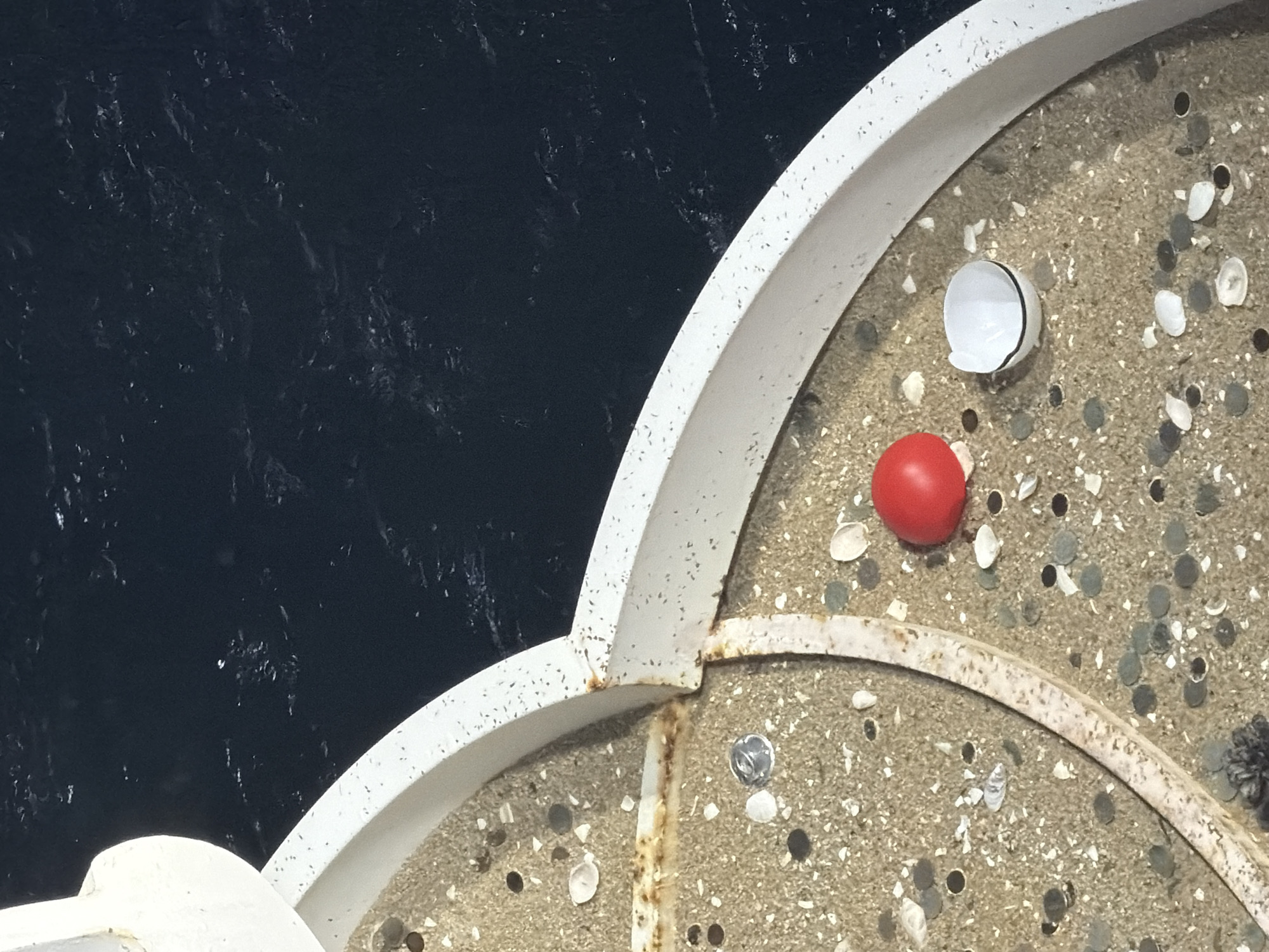 A red, spherical object and a small, white, broken dish are situated on a sandy surface next to dark water. The sandy surface is bordered by a curved, white structure and appears to be littered with small shells and dark circular objects, possibly coins. The white structure shows signs of rust and speckling. The scene is likely on a boat or pier, overlooking the ocean. The specific location in Gangneung-si, South Korea is not discernible from the image alone.