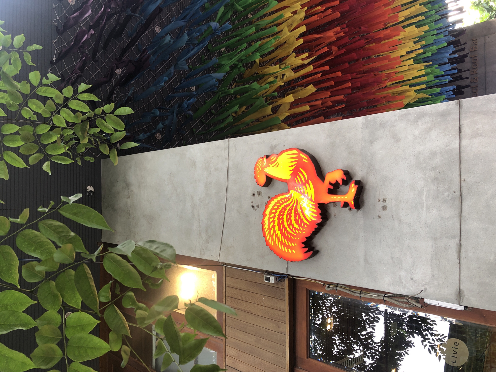 In Đà Nẵng, Vietnam, an exterior shot captures a concrete pillar with a neon rooster sign illuminated in red and yellow. Above, green leaves hang from branches, framing the top of the image. To the right, a colorful tapestry of fabric strips in red, orange, yellow, green, blue, and purple cascades down. Below the rooster, a glass door reveals the reflection of trees, and a circular sign reads "Livie." Further down, partially obscured text on the building's facade appears to say "ool & Roof Bar."