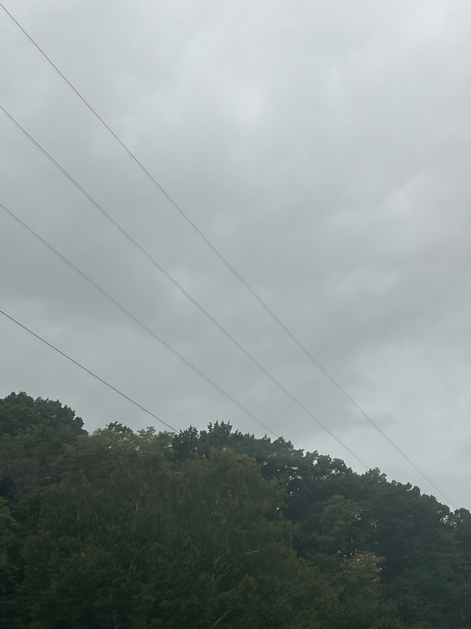 The image shows a view of a densely wooded hillside under a cloudy sky. Several power lines stretch diagonally across the frame, from the upper left towards the lower right. The trees are varied in color, with shades of green and some hints of autumnal yellow and brown visible. The overall lighting suggests an overcast day. No people, specific landmarks, or urban features are visible in this frame, making it impossible to determine the location within Pittsburgh, United States of America.