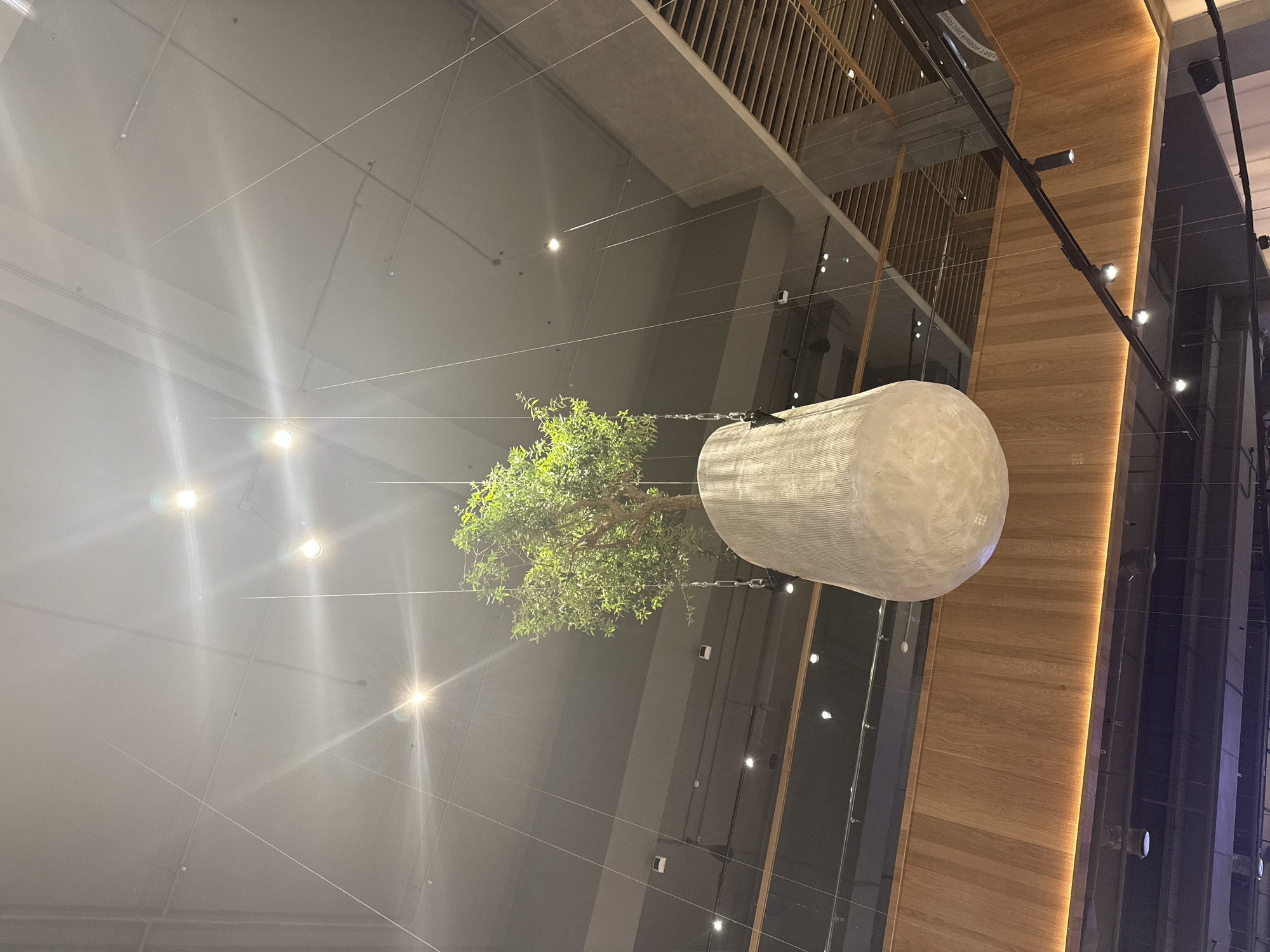 The image shows an interior view, likely of a commercial or public space, in Yekaterinburg, Russia. Suspended from the ceiling by cables is a decorative tree, the trunk of which is encased in a large, cylindrical structure with a textured surface. The cables appear to be thin and numerous, extending across the ceiling. The lighting in the space is bright, with several recessed lights visible in the ceiling. To the right of the tree is a wall or architectural feature covered in vertical wooden planks, illuminated with a warm, ambient light from behind. The building's architecture includes multiple levels, with a view of upper floors through transparent barriers. The general ambiance suggests a modern, upscale environment.