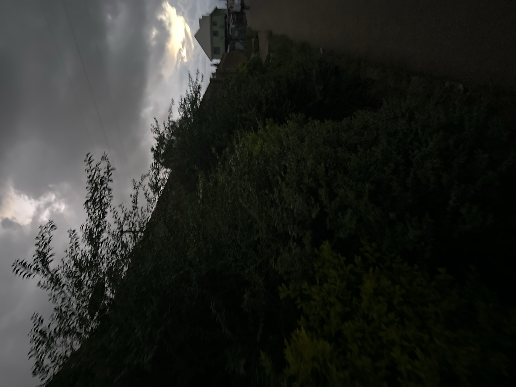 The image captures an outdoor scene at dusk or under heavily overcast conditions, characterized by low, diffused light. The foreground and left side are dominated by dense, dark green foliage, possibly a hillside or large hedges, with some lighter green and yellow-toned vegetation visible at the bottom left. The upper edge of this vegetation forms a diagonal line ascending from left to right. Above the vegetation, silhouetted tree branches with visible leaves appear against the sky. The sky is largely covered by dark grey, heavy clouds, with a brighter, yellowish-white patch of light visible on the horizon towards the right, suggesting the position of the sun. Faint power lines are discernible horizontally across the upper-mid sky area. To the right of the dense vegetation, a narrow, unpaved or dirt path extends into the background. In the upper right background, a light-colored, possibly green or off-white, multi-story building with a distinct pointed roof stands out, flanked by less distinct structures or fences. A blurred, indistinct figure is faintly visible on the path in the distance, near the buildings. The overall environment suggests a semi-urban or suburban setting in the city of Unknown, Unknown, characterized by a mix of natural growth and residential development.