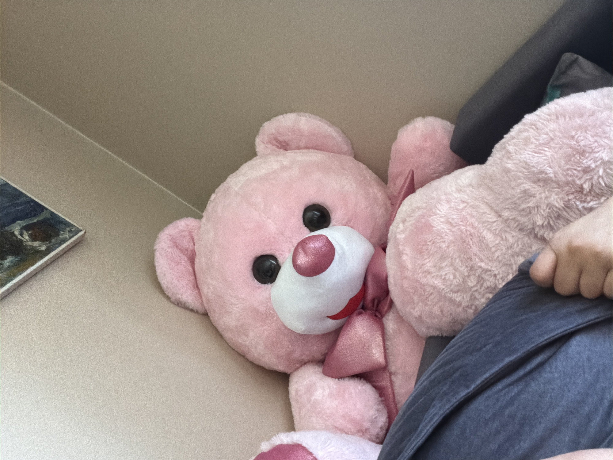 A close-up shot shows a large, plush pink teddy bear sitting on a gray surface, possibly a couch. The bear's head is tilted slightly to the right, and its large black eyes are visible. It has a white snout with pink accents on the cheeks and nose, and a pink bow tied around its neck. The bear's left arm is partially visible, as is a portion of a person's arm in the foreground, wearing a blue garment. The background consists of a light beige wall with a sliver of framed art visible in the upper right corner. The lighting suggests an indoor environment. No specific location in the city of Shumen, Bulgaria, can be determined from the image.