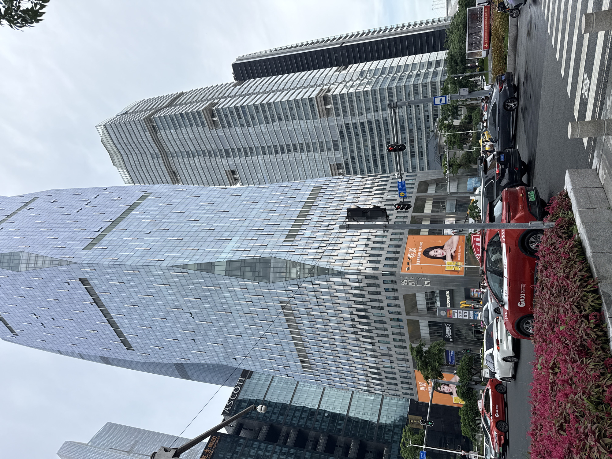 The image captures a street-level view in Tianhe District, China, dominated by modern skyscrapers with glass facades. In the foreground, several red taxis, one with "TAXI 12345" visible, are stopped or moving in traffic. A white sedan is also present, along with a dark-colored SUV. A dense bed of dark pink flowers lines the lower edge of the scene. Traffic lights are visible, with one showing a red signal. Large billboards are mounted on the lower sections of the buildings, one featuring a woman's portrait and text in Chinese characters, and another advertising McDonald's. The sky is overcast. Overhead, power lines crisscross the frame. The architecture is characterized by sleek, geometric designs.