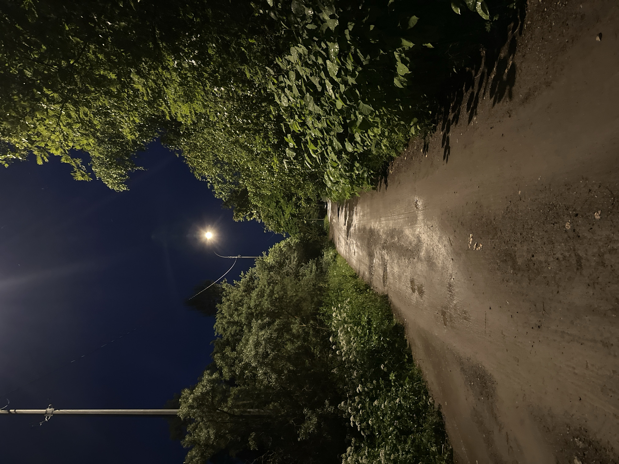 The image depicts a narrow, unpaved road at night, illuminated by a single streetlamp. The road surface is wet and muddy, with several puddles reflecting the artificial light. Dense foliage lines both sides of the road, with lush green trees and shrubs creating a shadowed canopy overhead. Small white flowers are visible on the left side of the road. A utility pole with wires stands tall on the left side of the frame. The overall atmosphere is dark and somewhat desolate, suggesting a rural or suburban setting. There are no people or animals visible in the image. The location is identified as Sergeevka, Russia.