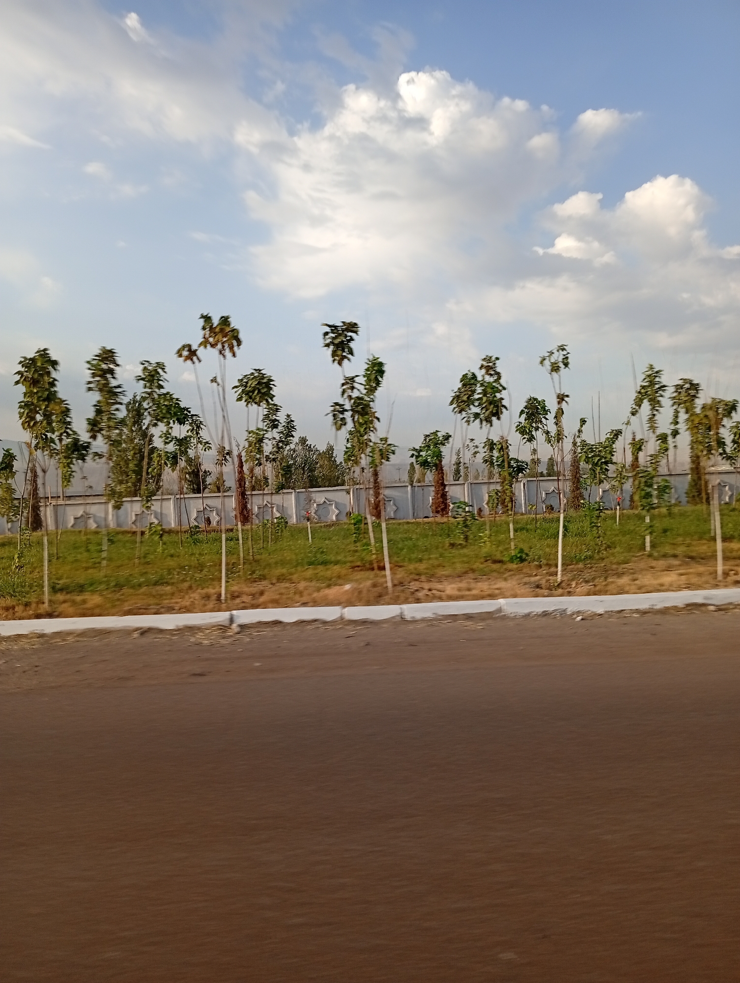 The image captures a row of young trees planted along a decorative concrete wall. The trees are slender with sparse foliage, and many are supported by white stakes. Behind the wall, more trees and vegetation are visible, and in the distance, there appears to be a mountainous landscape. The sky above is a mix of blue with scattered white clouds. In the foreground, a section of asphalt road with a curb is visible. The scene suggests a park or a landscaped area, possibly an avenue or boulevard in the city of Kara Kitay, Uzbekistan, given the decorative elements of the wall which may be characteristic of local design. No people or animals are present in the image.