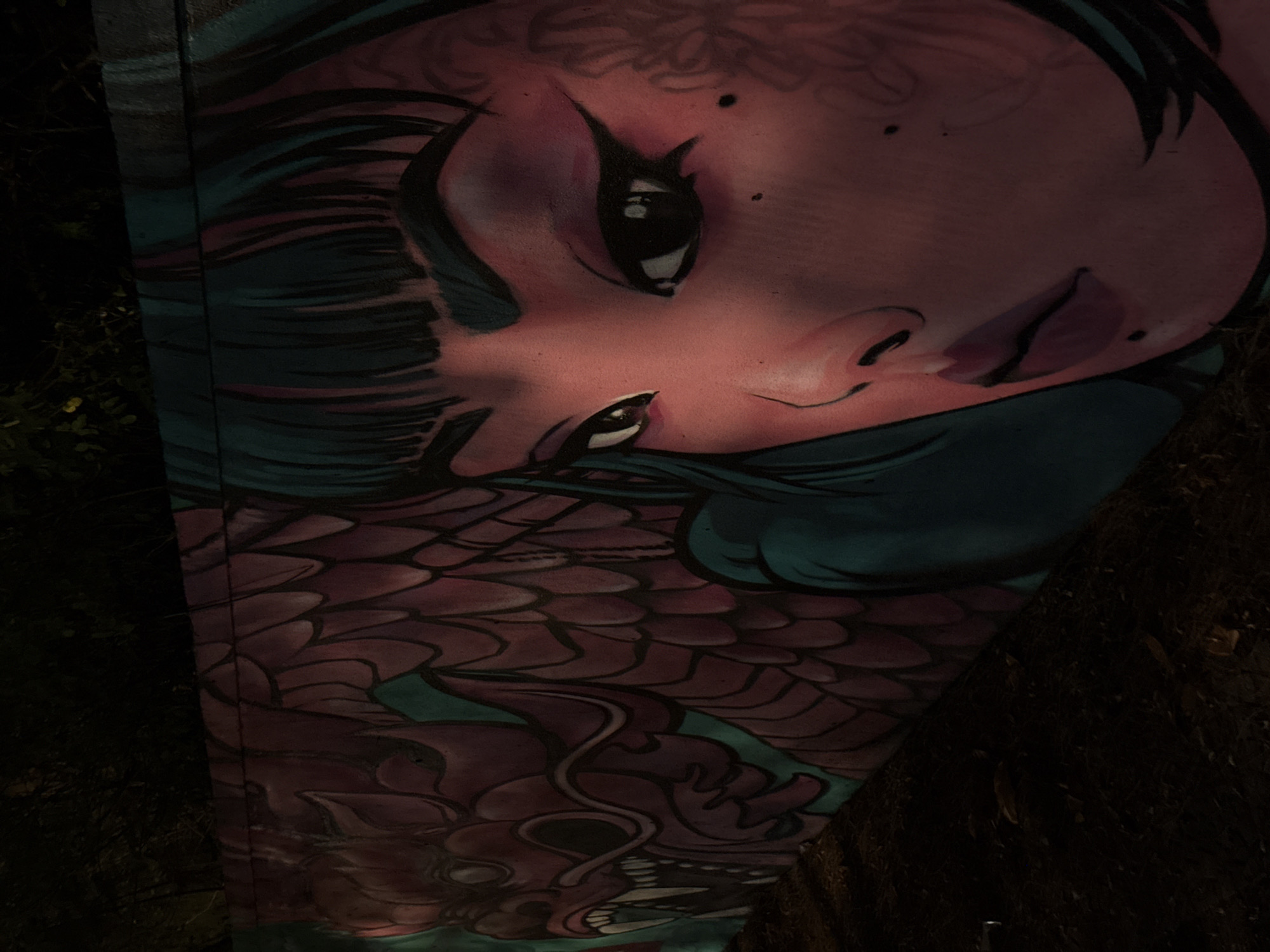 The image shows a mural in Đà Nẵng, Vietnam. The mural features a stylized depiction of a woman's face and a dragon. The woman has large eyes, delicate features, and hair that appears to be a dark teal color. The dragon is depicted with a scale-like pattern in shades of red and burgundy. The mural is painted on a vertical surface, potentially a wall or pillar, and is partially obscured by darkness. The image is taken at night or in a low-light environment. The right side of the image is shrouded in darkness suggesting a dark, possibly wooded area adjacent to the mural. The mural's location in Đà Nẵng, Vietnam, is provided as contextual information and is not directly visible within the image itself.