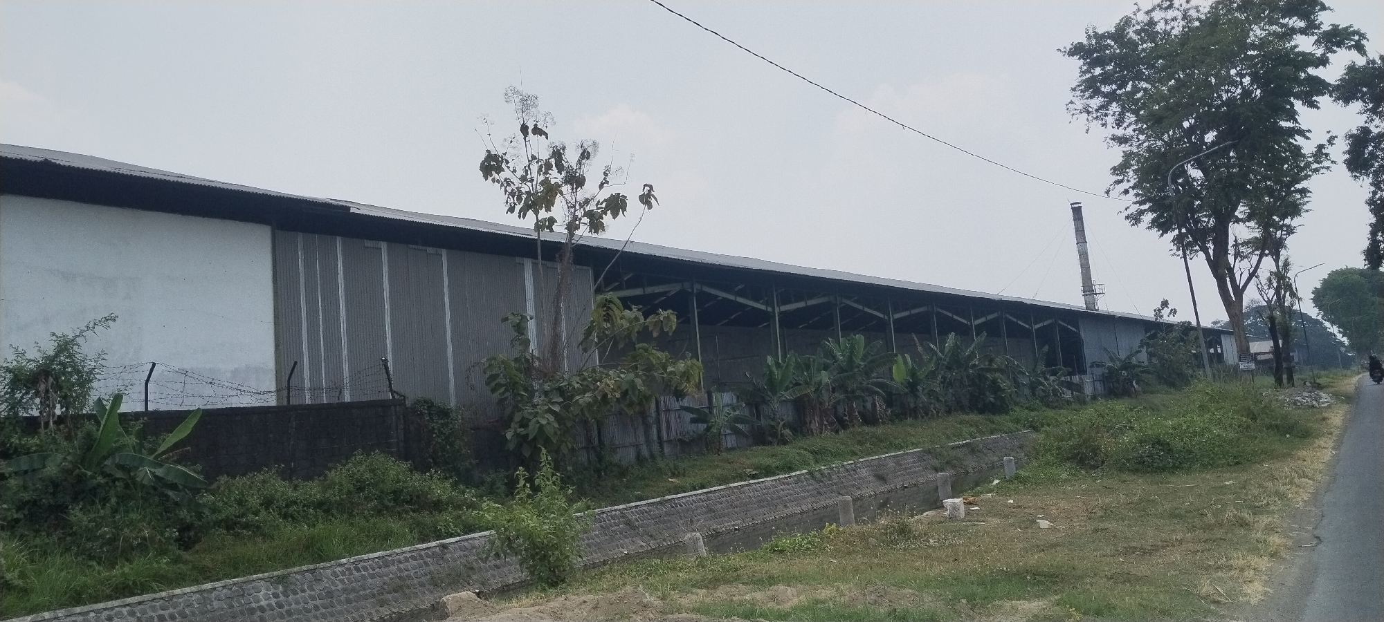 The image shows a long, industrial building with a corrugated metal roof and sides. The building is situated in an outdoor environment. To the left, there is a section of white wall. The building appears to be a warehouse or factory. In front of the building, there is overgrown vegetation, including some banana plants. A low stone wall with a concrete ditch runs along the foreground. Behind the building, there are trees and a tall industrial chimney. A dirt road with a motorcycle riding on it is visible on the right side of the image. The sky is overcast. The scene is located in the city of Tunggorono, Indonesia.