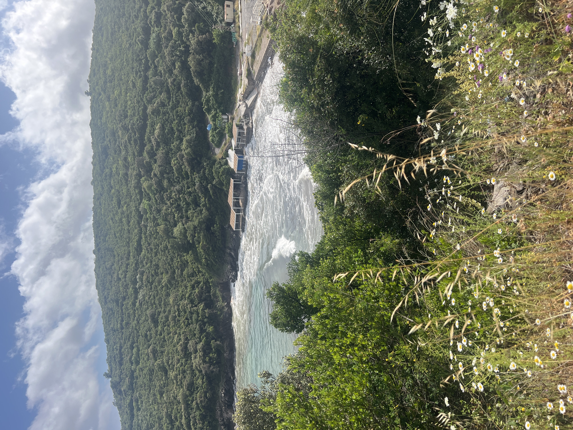 A high-angle, oblique view in Dubraljevina, Montenegro, captures a bay with breaking waves along a shore. A steep, densely vegetated hillside dominates the left side, contrasting with a right foreground filled with wildflowers and grass. Constructed buildings, resembling huts or cabins, line the shoreline between the hillside and the bay. The sky, visible above the hillside, exhibits scattered clouds.