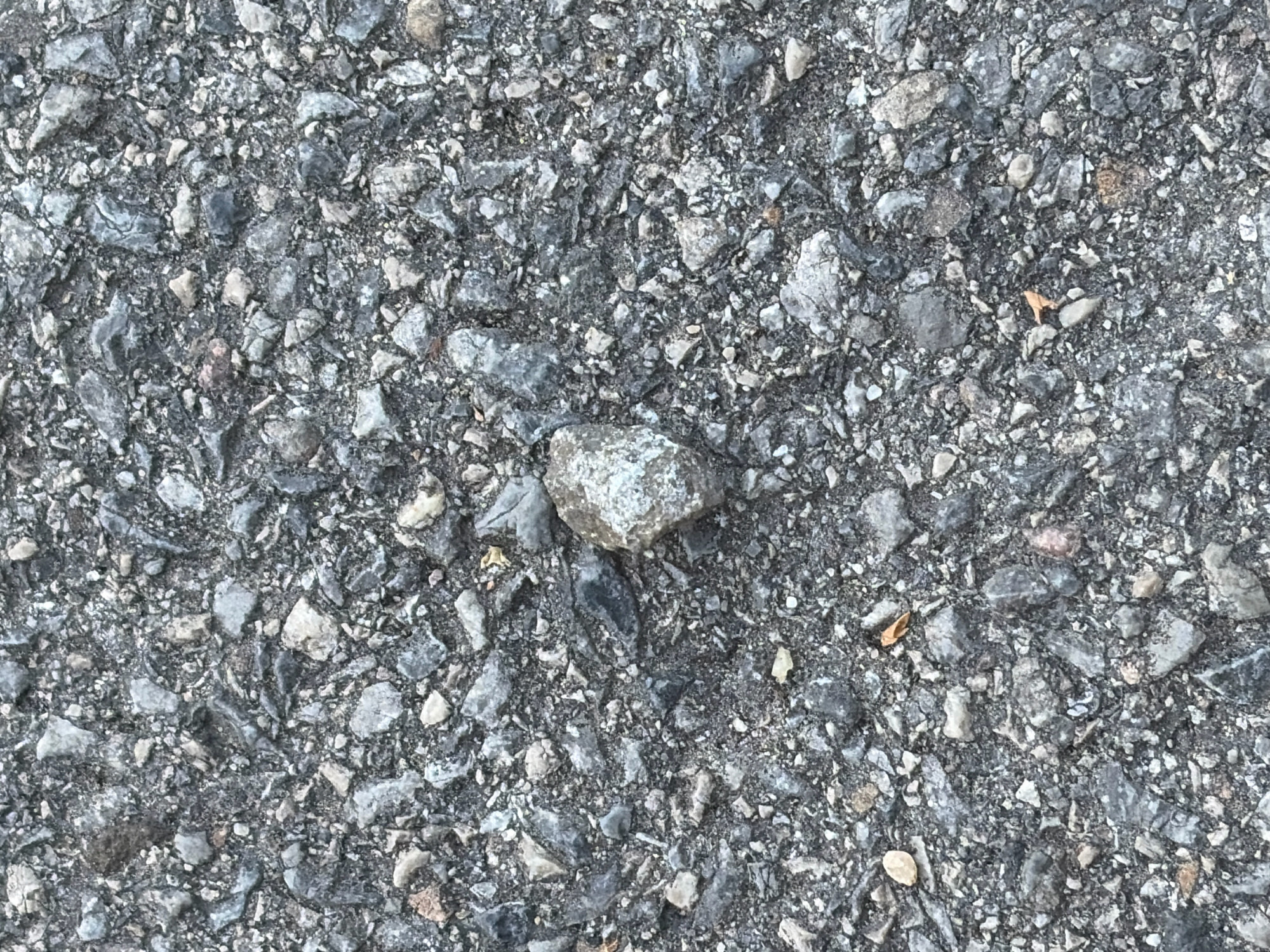 The image shows a close-up, overhead view of asphalt with embedded gravel. The asphalt is dark gray and appears to be a standard road surface. The gravel consists of a variety of small, angular stones in shades of gray, white, and some with reddish-brown tones. The stones are of varying sizes, with some as small as grains of sand and others as large as a thumbnail. One notable stone, slightly larger than the surrounding gravel and located near the center of the image, is light gray with a textured surface. A small, dry, brown leaf or piece of debris is visible in the upper right quadrant of the image. The lighting suggests an outdoor, daytime setting. The scene is static, with no people, animals, or vehicles present. The location is identified as Unknown, Unknown, with no further environmental context provided.