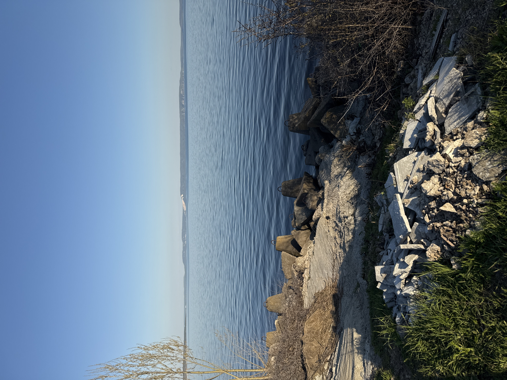 The image depicts a shoreline with calm blue water, a clear blue sky, and varied vegetation. Along the edge of the water are large concrete blocks, possibly for erosion control. Beyond the blocks, the ground is covered with light-colored rubble, grass, and small shrubs. The location is along the shore of a large body of water, but the specific city and location are unknown. The image is oriented vertically, capturing a wide view of the water and sky.