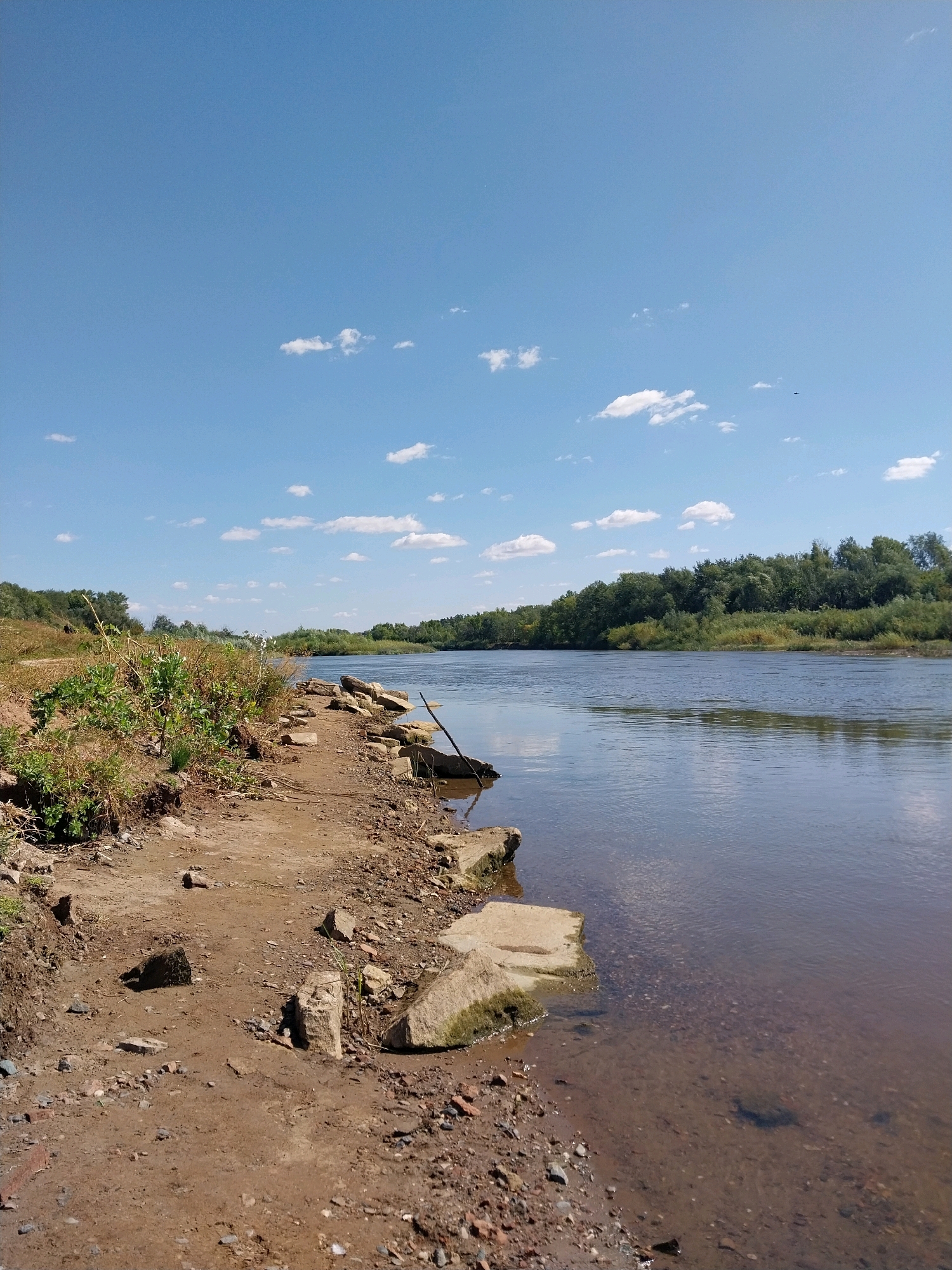A vertical, eye-level, medium shot captures a serene river scene under a bright, clear blue sky dotted with a few white, fluffy clouds. The foreground features a sandy, rocky embankment, littered with stones of various sizes and some patches of dry grass and vegetation. A short, dark stick juts out of the water near the bank. The river itself appears calm and reflects the sky and surrounding greenery. The far bank is lined with a dense, green forest of trees, suggesting a natural, undeveloped area. The overall impression is one of a peaceful, sun-drenched day in a rural or semi-rural setting. The location is identified as Orenburg, Russia.