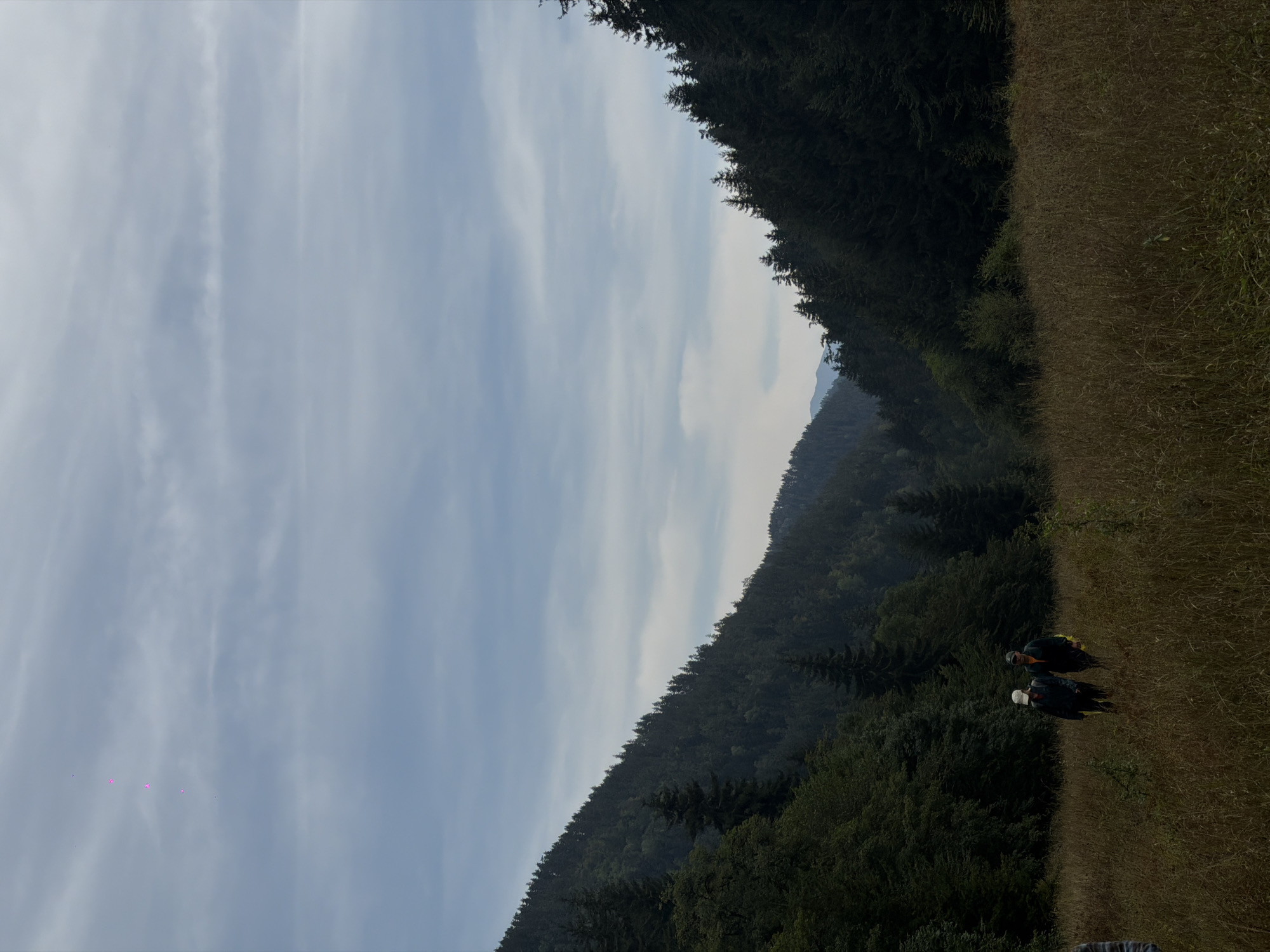 In the foreground, a dry, grassy field stretches out, partially obscuring the legs of two individuals walking through it. The two people, one wearing a light-colored hat and a dark jacket, and the other a dark cap and an orange and dark jacket, are walking side-by-side. They are the only clearly visible people in the image. Behind them, the landscape is dominated by steep, tree-covered hills that rise towards a hazy, overcast sky. The trees are dense and dark green, suggesting a coniferous forest. The sky is a muted blue-gray with thin, wispy clouds. The overall impression is one of a natural, somewhat remote, and possibly cool environment. The scene is located in the vicinity of Kvabiskhevi, Georgia, a region known for its mountainous terrain and forests. There are no visible urban structures or elements that would indicate it is within the city itself, but rather in the natural landscape surrounding it. There are three faint, pinkish-purple vertical streaks visible in the sky, which appear to be digital artifacts or reflections.