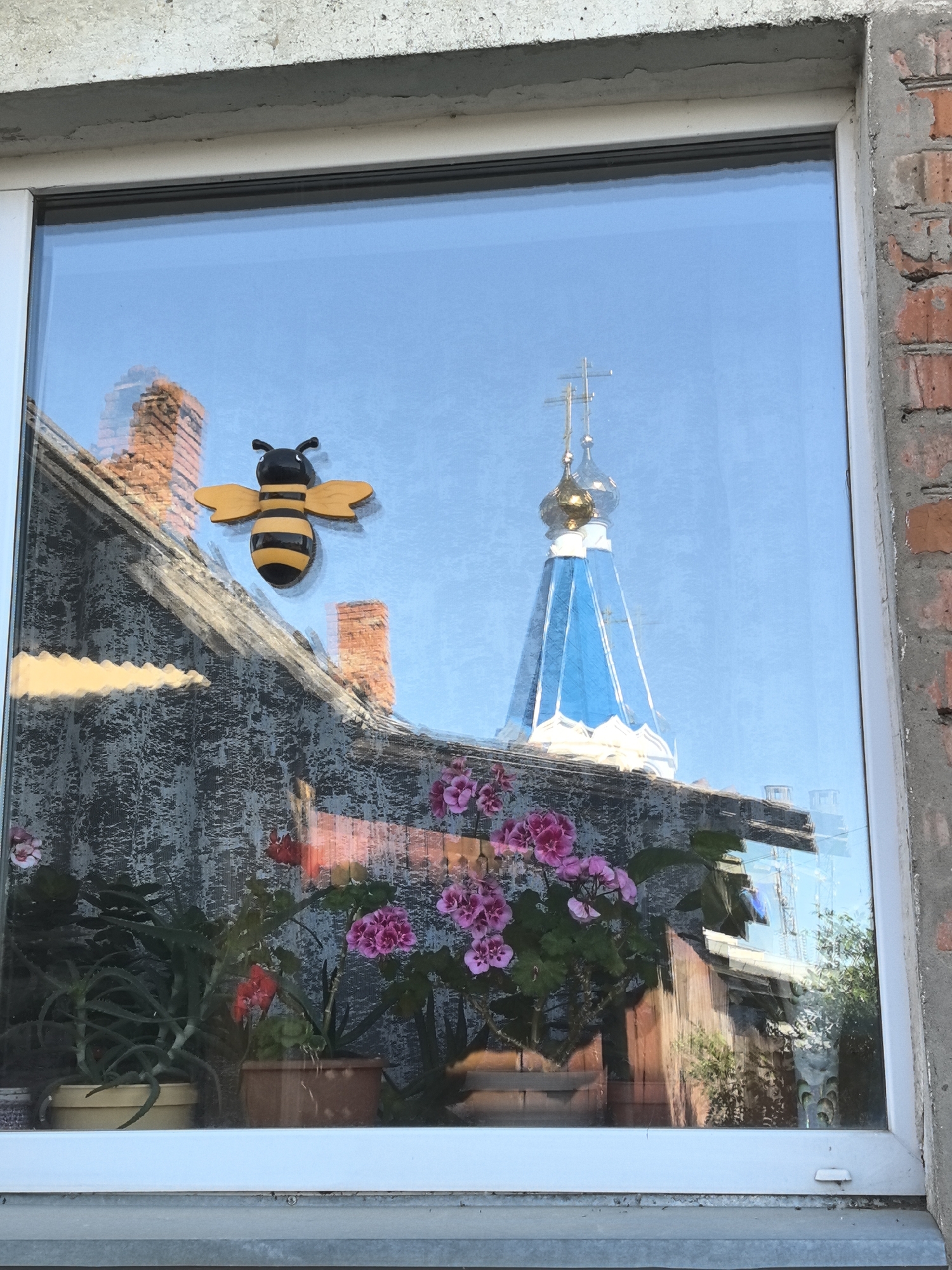A window reflects an exterior scene, most notably a building with a prominent blue-and-gold-domed Russian Orthodox church. The church's cross-topped dome is visible in the reflection. A bee-shaped decoration is affixed to the window glass. Potted plants, including aloe and geraniums with pink flowers, are on the windowsill. The window is framed in white and is set in a building with both brick and concrete elements. The reflection suggests that the location is near Noviy, Russia, based on the architectural style of the church dome.