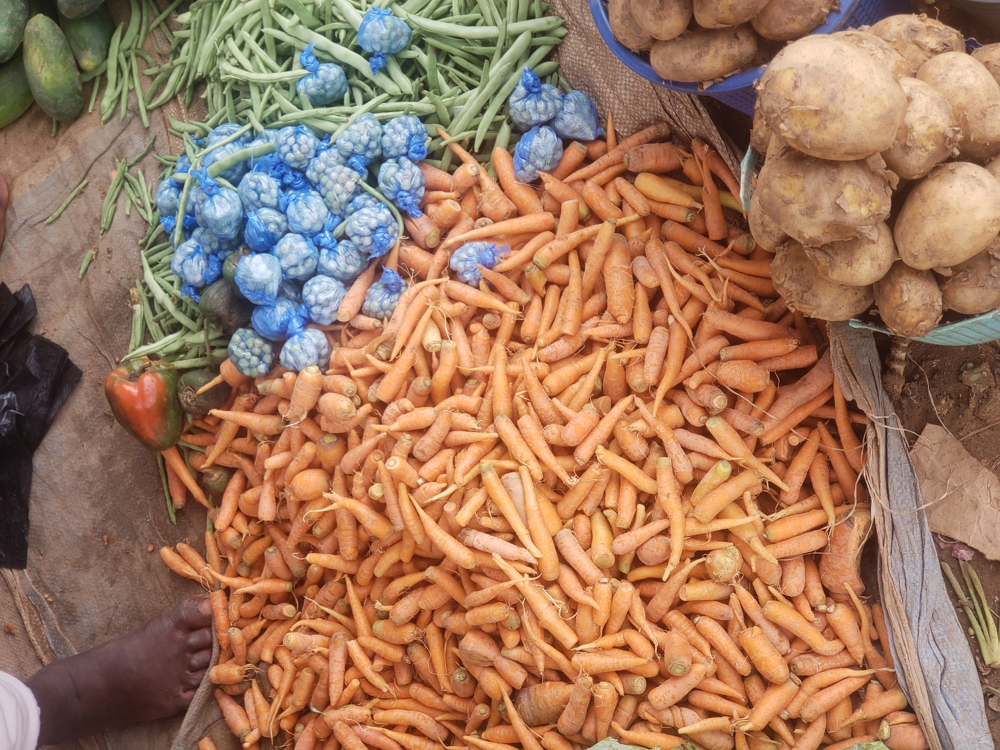 This is a top-down, close-up shot of a market stall in Television, Nigeria. In the foreground, a large pile of small carrots is spilling out of a burlap sack. To the right of the carrots, there are several piles of green beans, some loose and some bundled in small blue plastic bags. Further to the right, a blue basket overflows with potatoes. In the upper left corner, a person's bare foot is visible, resting on the burlap sack. A few scattered bell peppers and other vegetables are also visible amongst the produce. The overall impression is of a vibrant, bustling marketplace offering fresh produce.