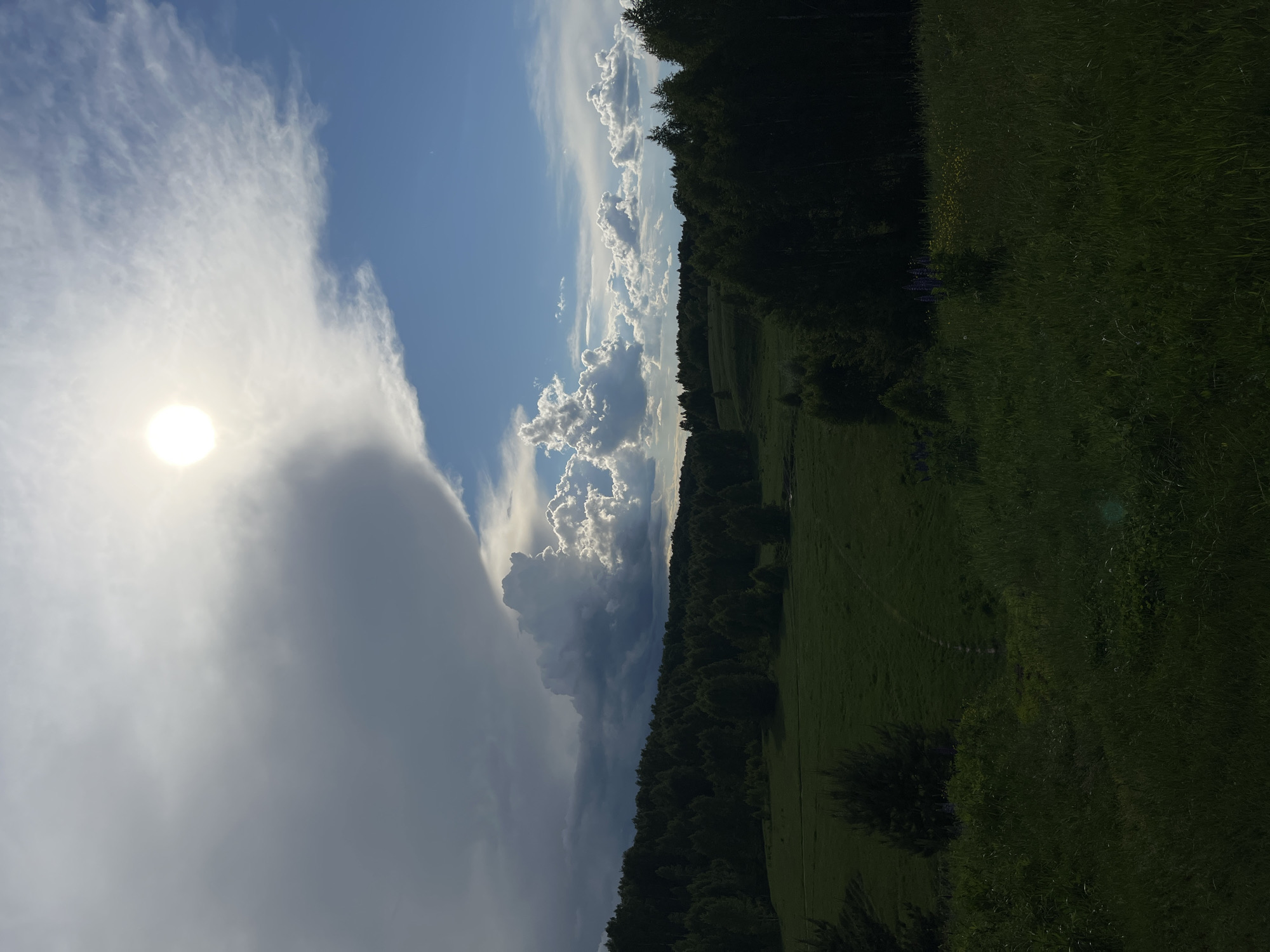 The image shows a landscape in Новочувашский, Russia. The sky is visible, with the sun obscured by large clouds on the left. Further to the right are cumulus clouds and clear blue sky. Below the sky, a line of trees separates it from a green field. A dirt path runs along the right side of the field.