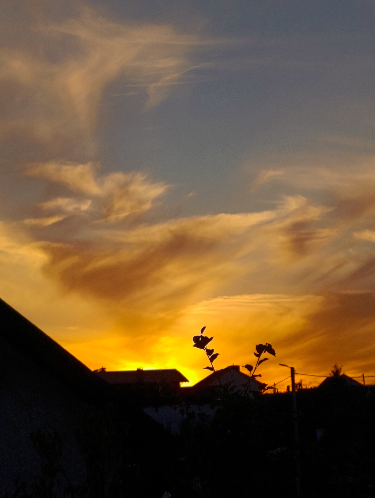 The image captures a sunset over a residential area. The sky is filled with vibrant orange and yellow clouds, tinged with blue at the top. Silhouetted against this dramatic sky are several rooftops of houses, a street lamp, and some dark foliage in the foreground. A dark roofline dominates the left side of the frame. The overall impression is one of a tranquil evening in a suburban or semi-rural setting.