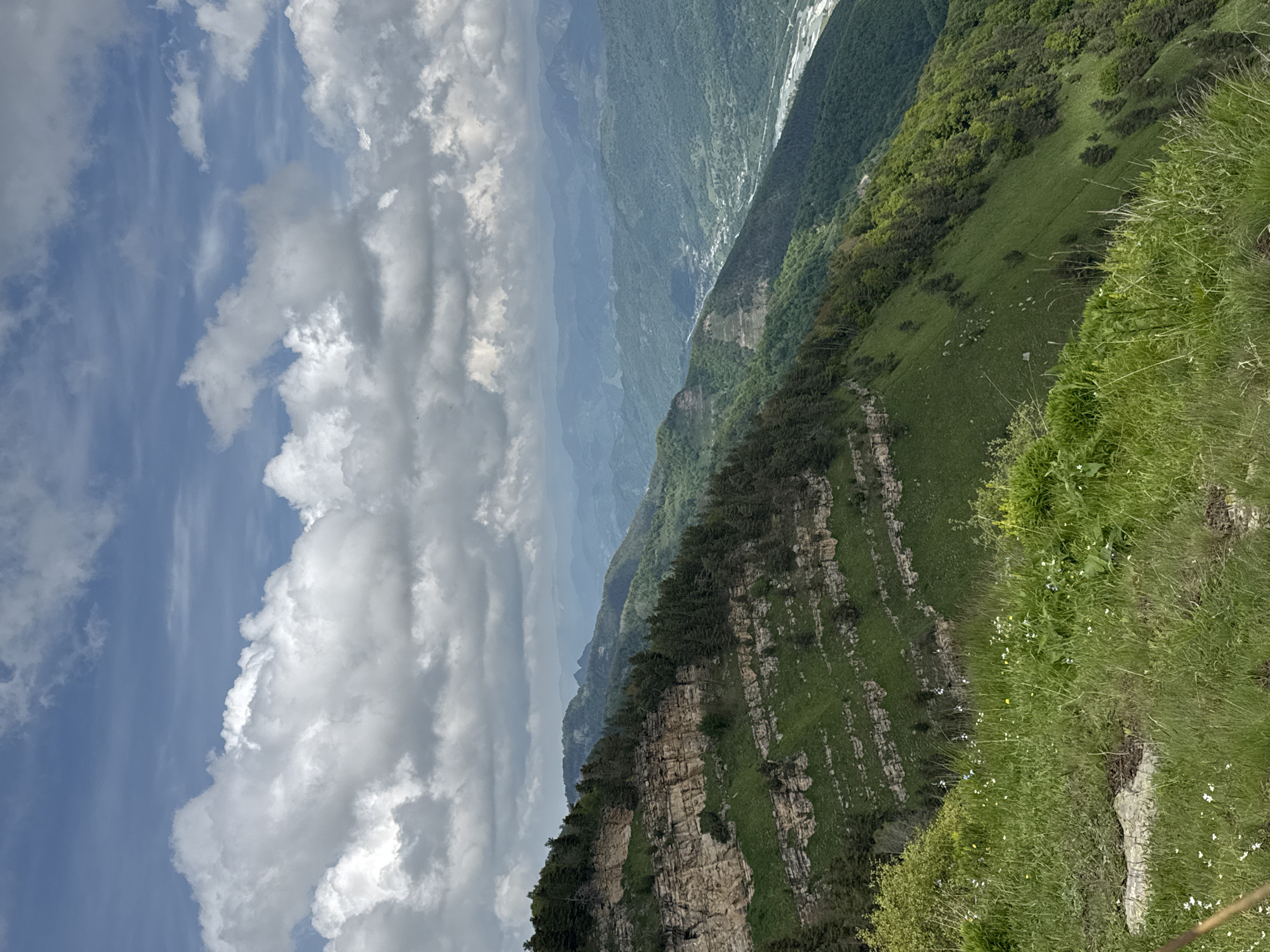 The image shows a vast mountain landscape under a cloudy sky. In the foreground, there is a steep, grassy slope dotted with small white and yellow wildflowers. A large rock is visible on the left side of the foreground. The middle ground is dominated by a rocky cliff face with layers of exposed stone, covered in patches of green grass and dotted with evergreen trees. Below the cliff, the slope continues downwards, covered in dense green vegetation and trees. In the background, a wide valley stretches out, with a river or body of water visible in the distance. Further back, multiple layers of hazy green mountains recede into the distance, with the sky above filled with large, white, puffy clouds against a pale blue background. The scene depicts a natural, rugged mountainous environment, characteristic of the region near Nizhnyaya Teberda, Russia, a town located in the Karachay-Cherkess Republic, known for its mountainous terrain and natural beauty. There are no people or man-made structures immediately visible in the main focus of the image, suggesting a remote, natural setting.