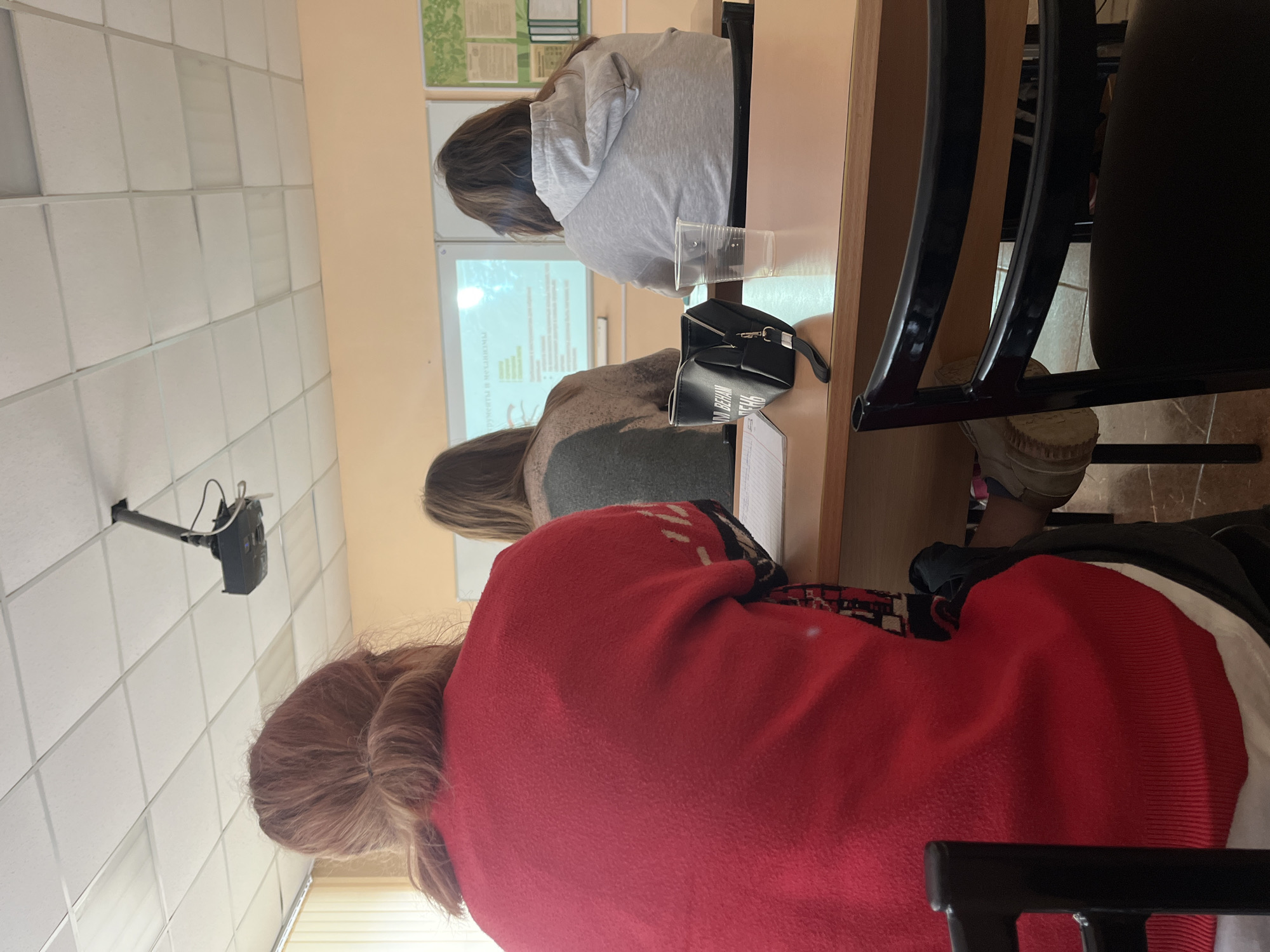 The image shows a classroom setting. There are at least three people sitting at desks, facing a projection screen displaying text. The first person in the frame is wearing a red sweater and has auburn hair. Behind them is another person wearing a gray sweater, and further back is a person wearing a light gray hoodie. A black purse is on the desk in front of the second person. The projector is mounted to the ceiling. The room appears to be a classroom, possibly in an educational setting. The location of Saint Petersburg, Russia is not evident from the image.