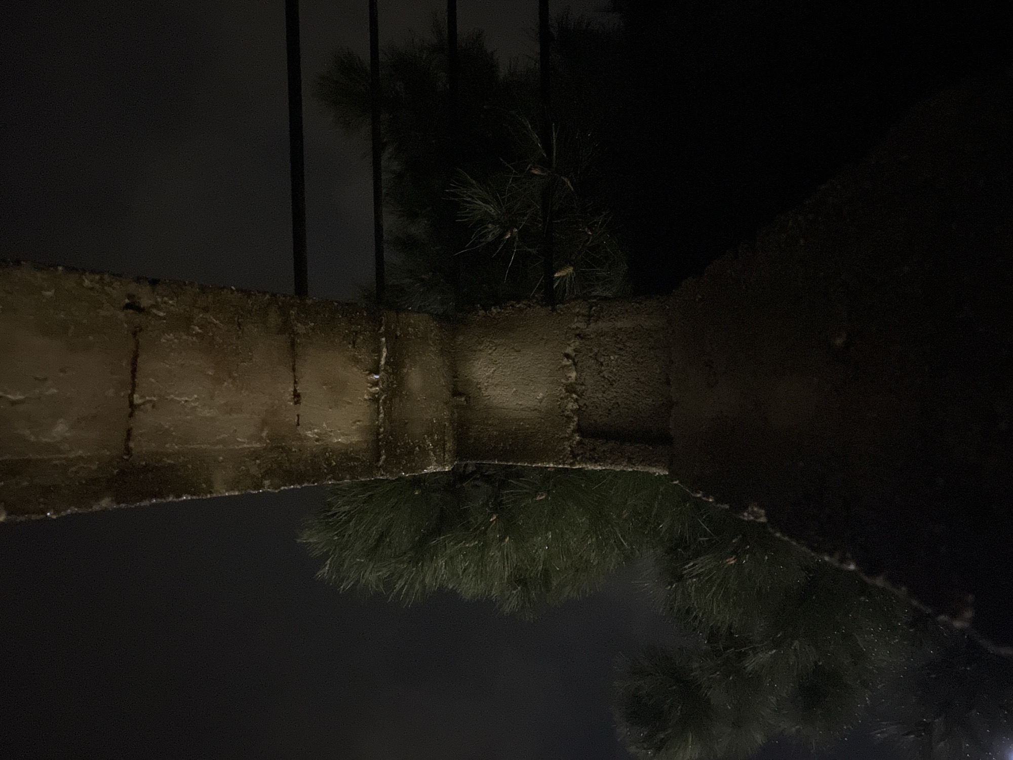 The image depicts a vertical, textured concrete pillar situated centrally in the foreground, partially illuminated. Its surface shows irregularities and appears weathered. To the left and right of the pillar, dark green coniferous foliage, consistent with pine trees, is visible against a dark, overcast sky. In the upper-right portion of the frame, two horizontal dark bars, likely part of a railing, are faintly present. The scene is observed at night. No individuals, animals, or specific activities are visible. The setting is in Budva, Montenegro.