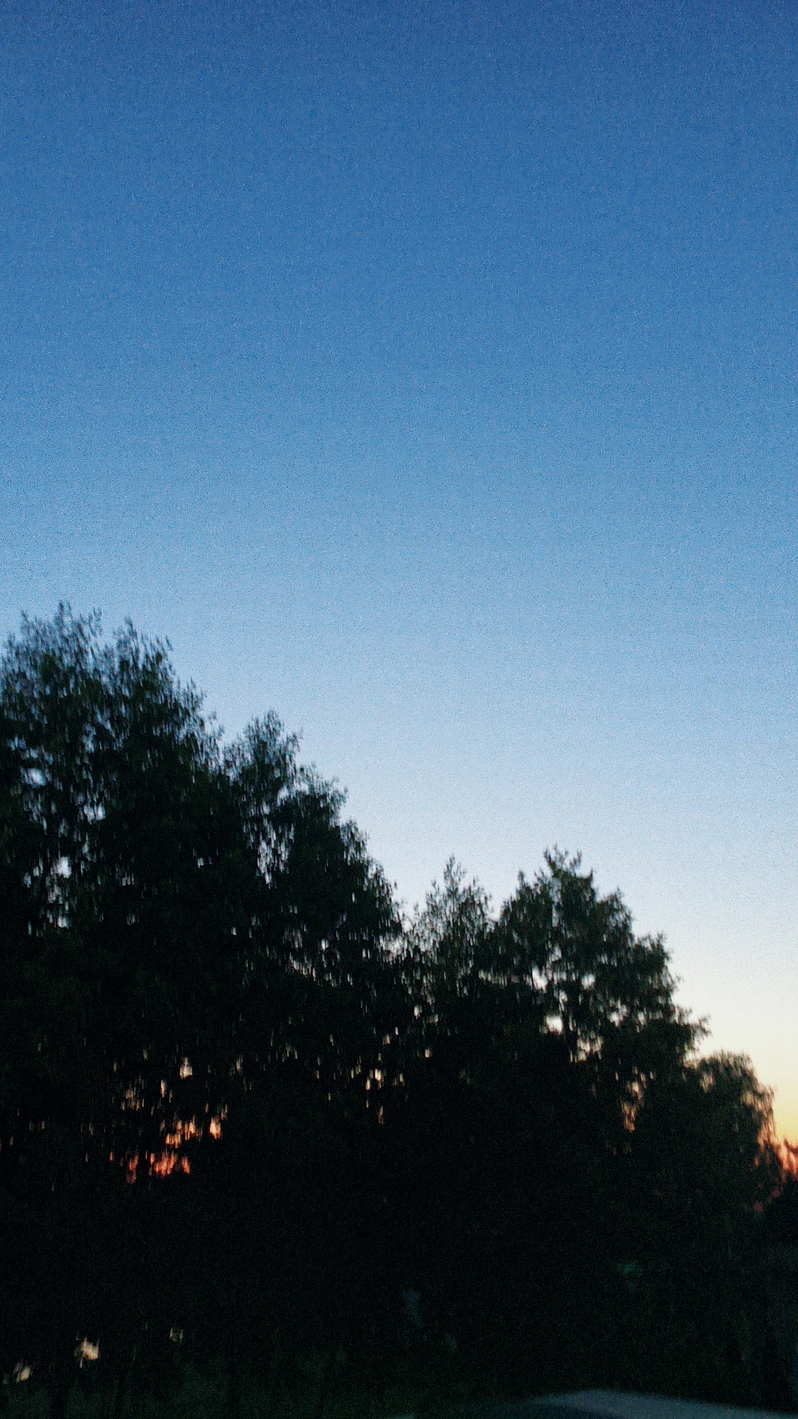 This is a photograph taken in Bezliudivka, Ukraine, during twilight. The sky is a gradient of deep blue at the top, transitioning to lighter blue and then a faint yellow and orange hue near the horizon, indicating the setting sun. A silhouette of a dense line of trees runs across the lower half of the image, with their dark foliage obscuring much of the ground below. Through gaps in the trees, subtle hints of orange light, possibly from the setting sun, are visible. The image has a grainy texture, suggesting it may have been taken with a low-light setting or a vintage camera. No people or specific structures are identifiable in the scene.
