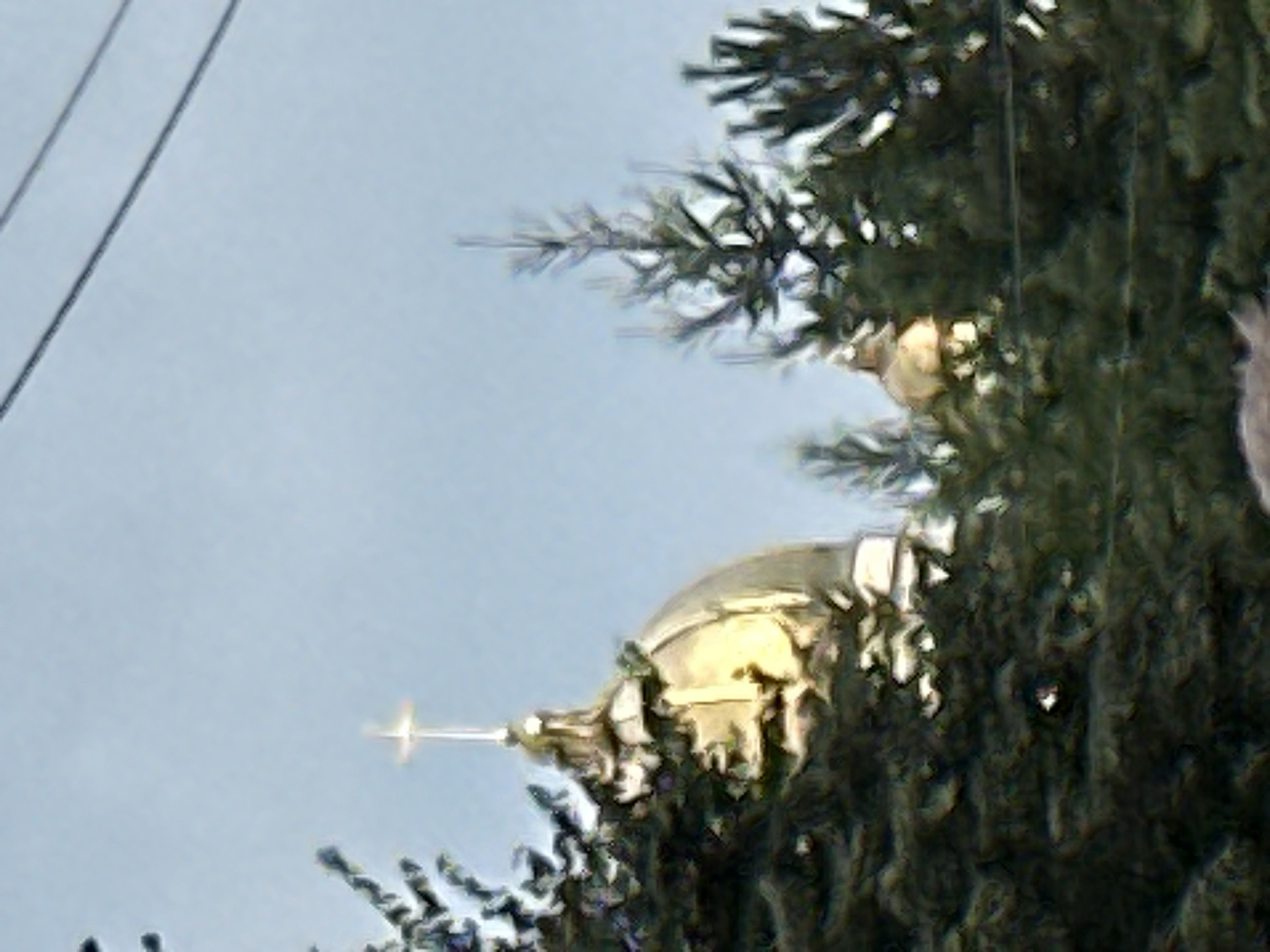 An outdoor, slightly blurry, medium shot captures the upper portion of a golden domed building, likely a church, topped with a cross. The dome is partially obscured by dark green coniferous trees. The sky is a pale blue. Power lines are visible in the upper right corner of the frame. The scene is devoid of people or any discernable activity. The image does not provide any specific visual cues to confirm its location in Podolsk, Russia.