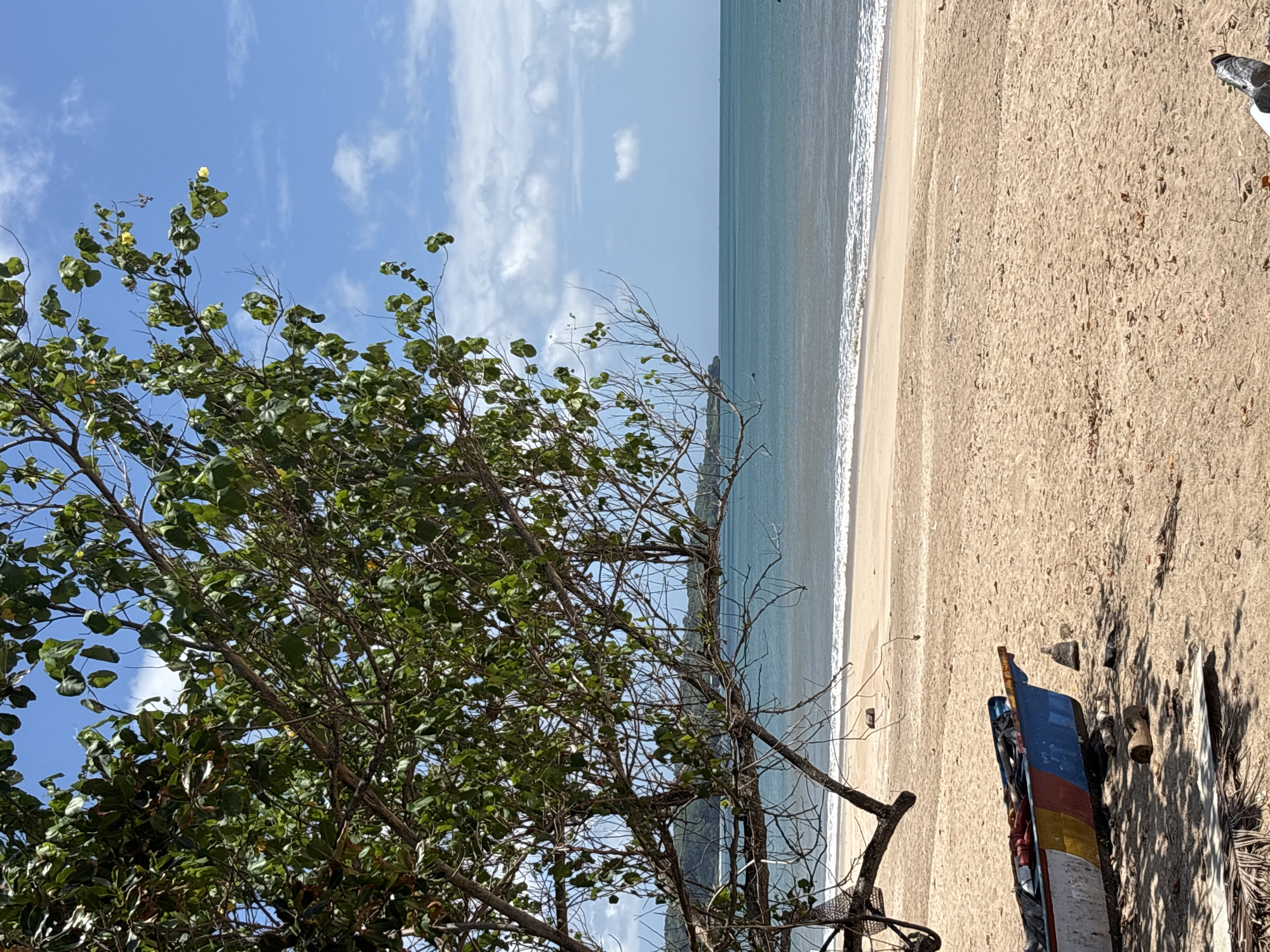 The image presents a view of Kuta Beach in Indonesia, with a foreground dominated by a leafy tree and its bare branches extending towards the center. The beach itself stretches out in the midground, showing sand transitioning from damp near the water to dry towards the right. Gentle waves are visible along the shoreline. In the right foreground, a partially buried and colorful boat hull, possibly used by local fishermen, adds to the beachside scenery. The sky is blue with scattered white clouds.