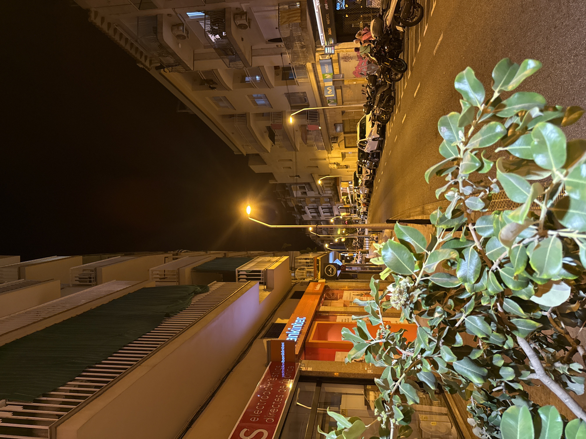 The image depicts a nighttime street scene in Blanes, Spain, with a focus on the commercial establishments lining the right side of the road and apartment buildings on both sides. The street is illuminated by streetlights, casting a warm glow on the asphalt and sidewalks. On the left, a building with a bright orange facade and signage for "bankinter" is visible, alongside a red sign indicating "electrodomésticos directes de fabrica". In the foreground, a large leafy plant with green leaves and budding flowers partially obscures the view of the street.
On the right side of the street, a row of parked motorcycles and cars is visible. Further down, a storefront with "Movistar" branding can be seen. The apartment buildings on both sides of the street have multiple floors with balconies, and some windows are lit from within, suggesting occupancy. The sky is dark, indicating it is night. A few individuals are visible near the storefronts on the right, and several people are walking along the sidewalk in the distance. The overall scene portrays a typical urban street at night, with a blend of commercial and residential architecture.