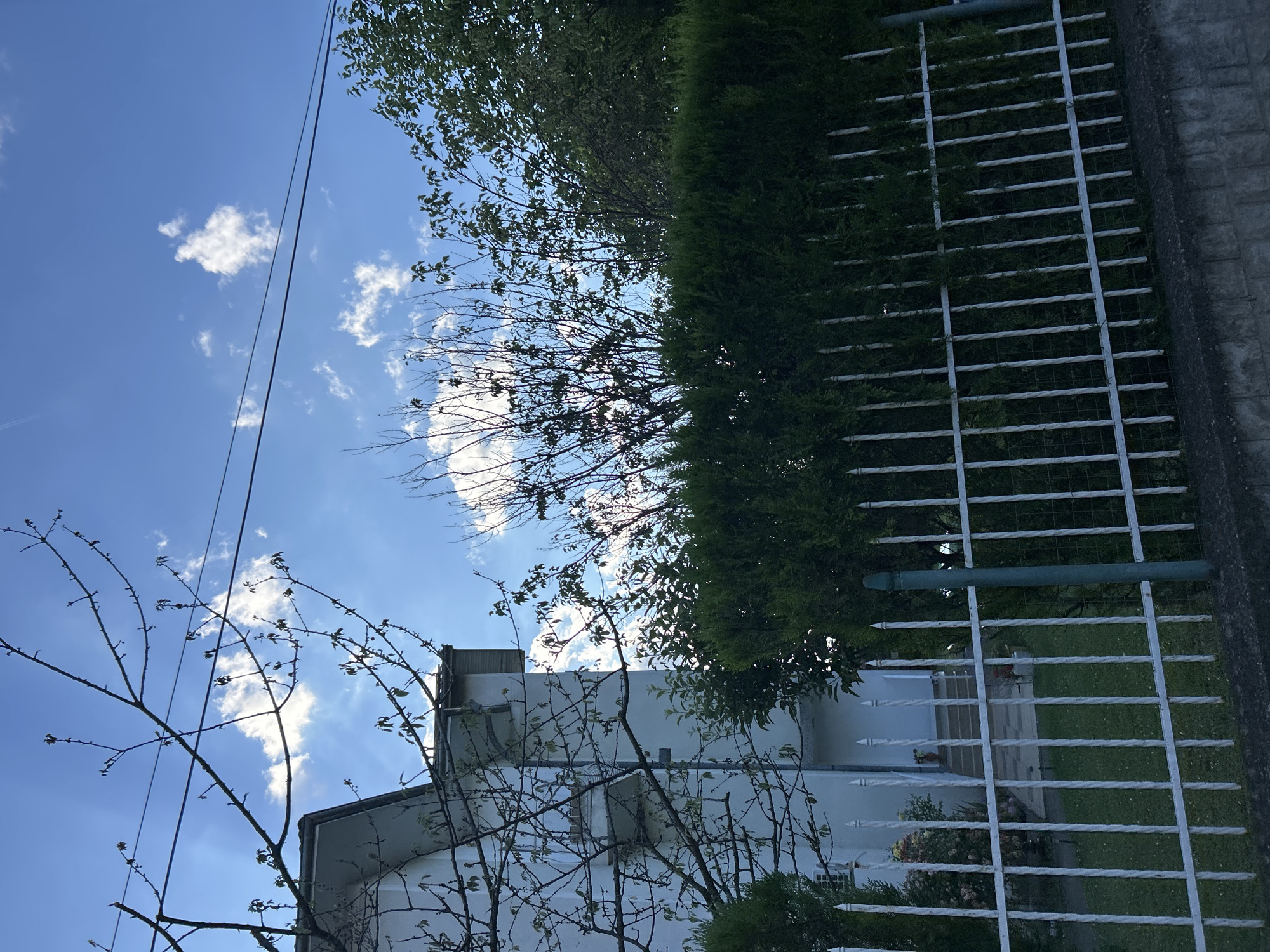 A white house is partially visible behind a green hedge and a white metal fence. The house has a pitched roof and appears to have at least two stories. Above the house, the sky is blue with scattered white clouds. Bare tree branches, some with developing leaves, are silhouetted against the sky, and a few power lines are strung across the frame. The fence is made of vertical metal bars with pointed finials. Beyond the fence, there is a green lawn, some bushes with pink flowers, and a set of stairs leading to the house. The ground in front of the fence is a stone wall.
