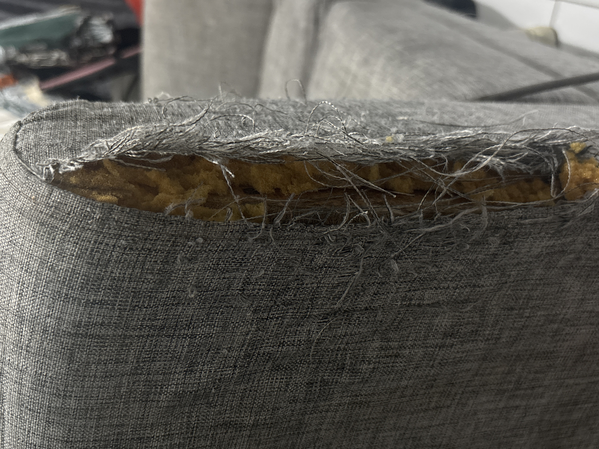 The image is a close-up, slightly angled shot of a damaged grey fabric armchair. The damage is most prominent on the right side of the armchair's armrest, where the fabric has been torn open, revealing the yellow foam padding underneath. Loose threads of the grey fabric are hanging from the torn edge, giving it a frayed appearance. The background is out of focus and suggests an indoor environment, possibly a room with other furniture and clothing items visible in the distance. There is no indication of the location in North Jakarta, Indonesia, within the image itself.